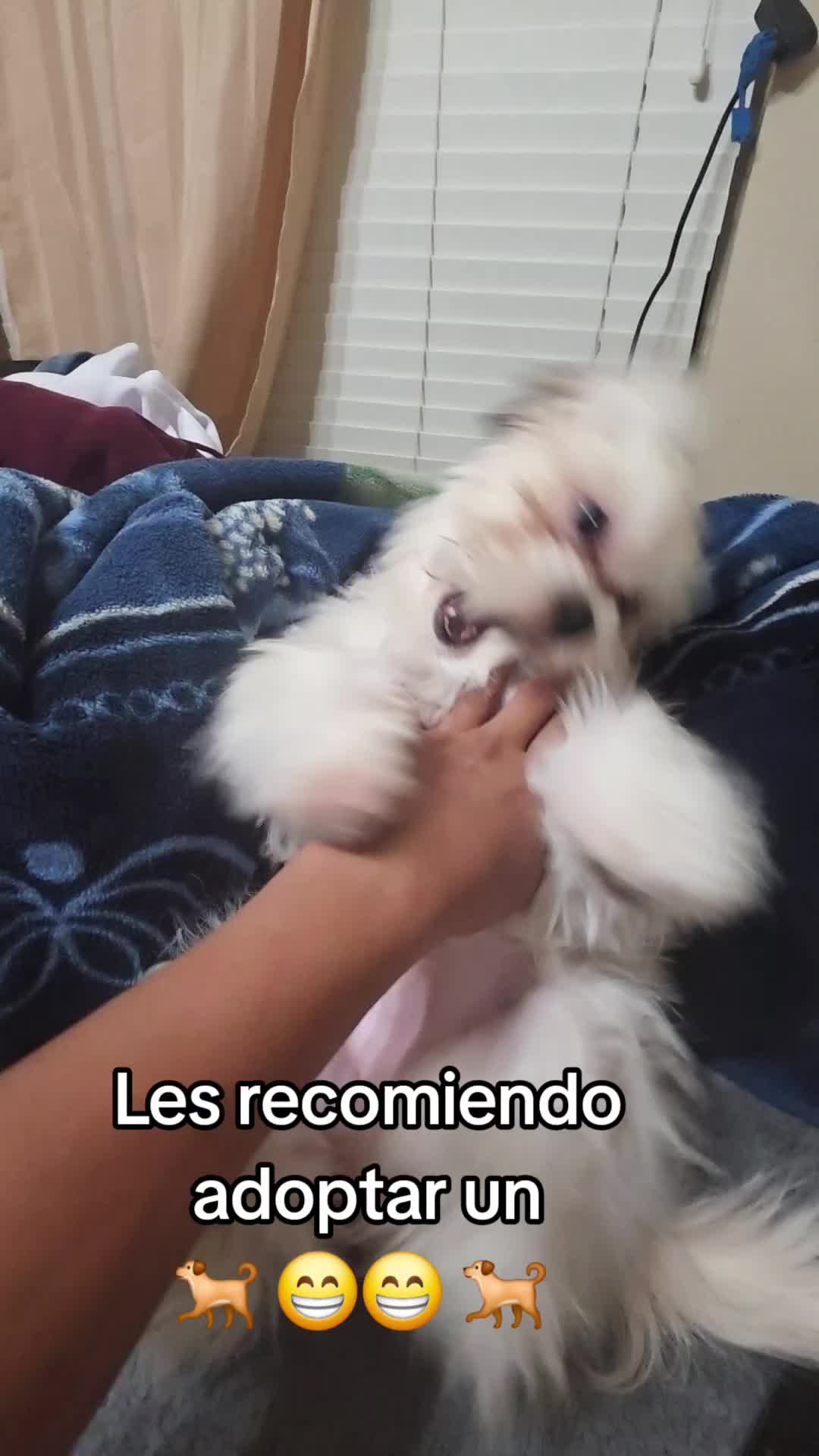 @Juan Abraham