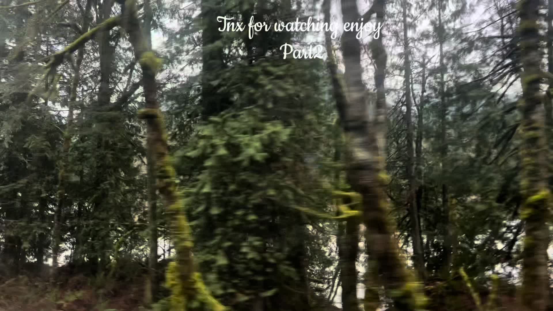 @🍃🍃🍃