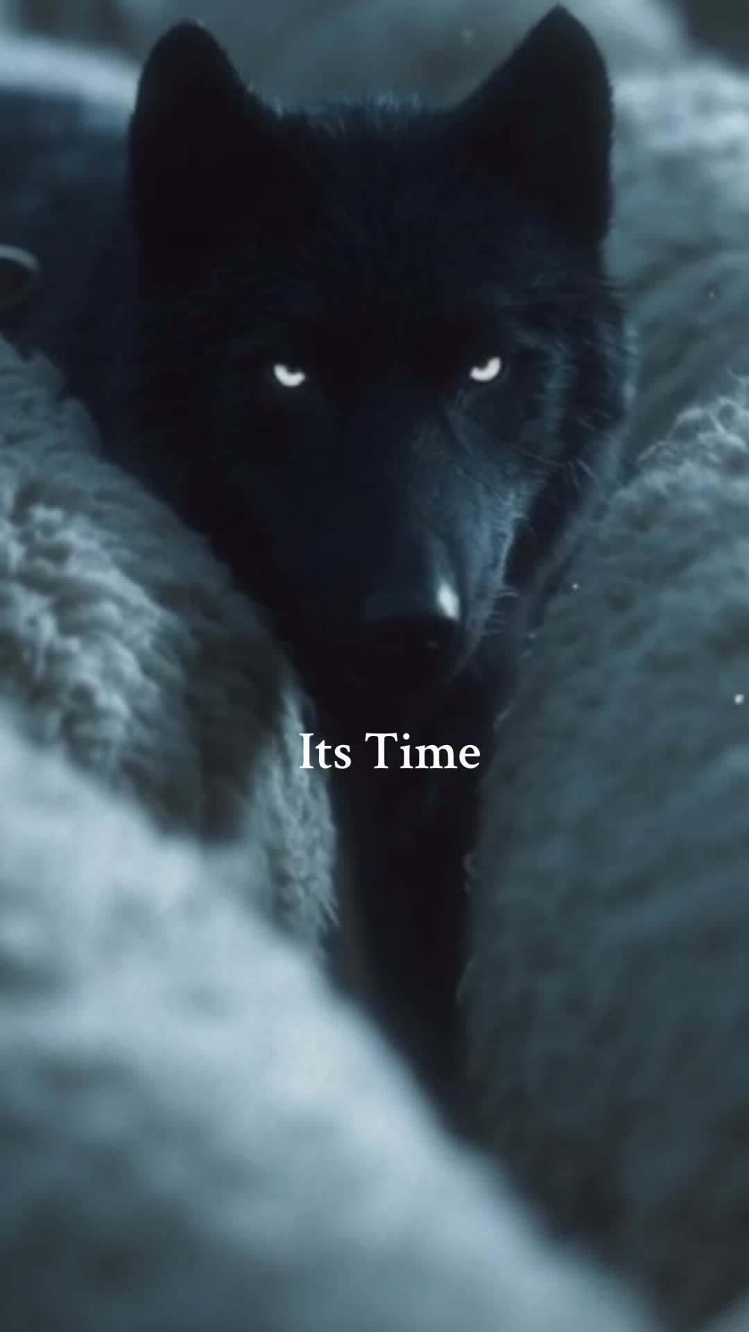 @Nisa ♾️