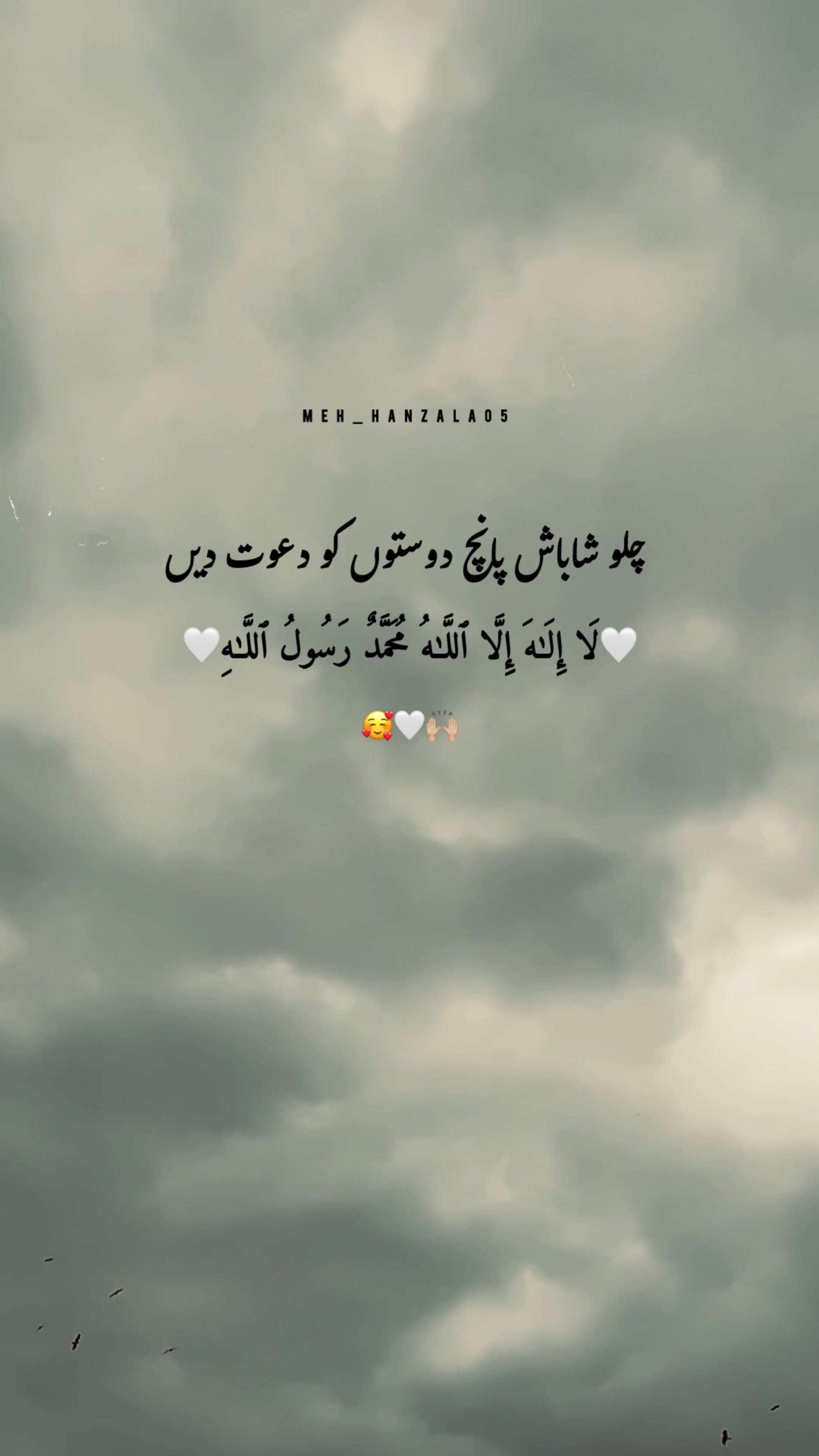@hanzala_writes05