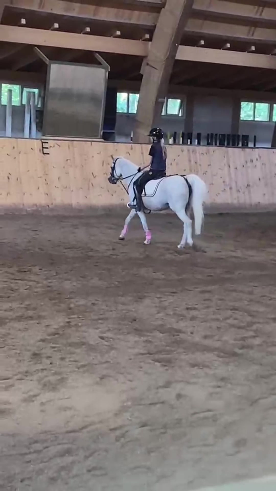@🦄