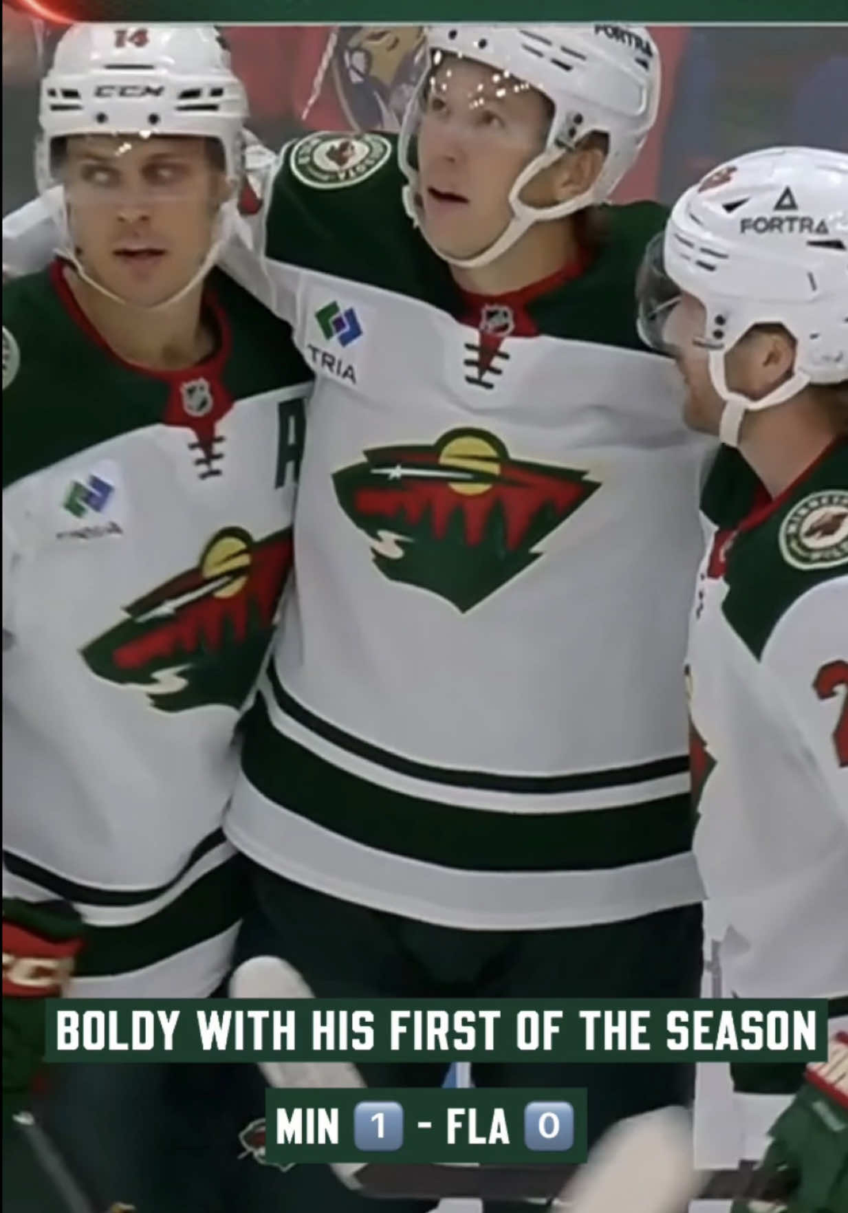 @Minnesota Wild