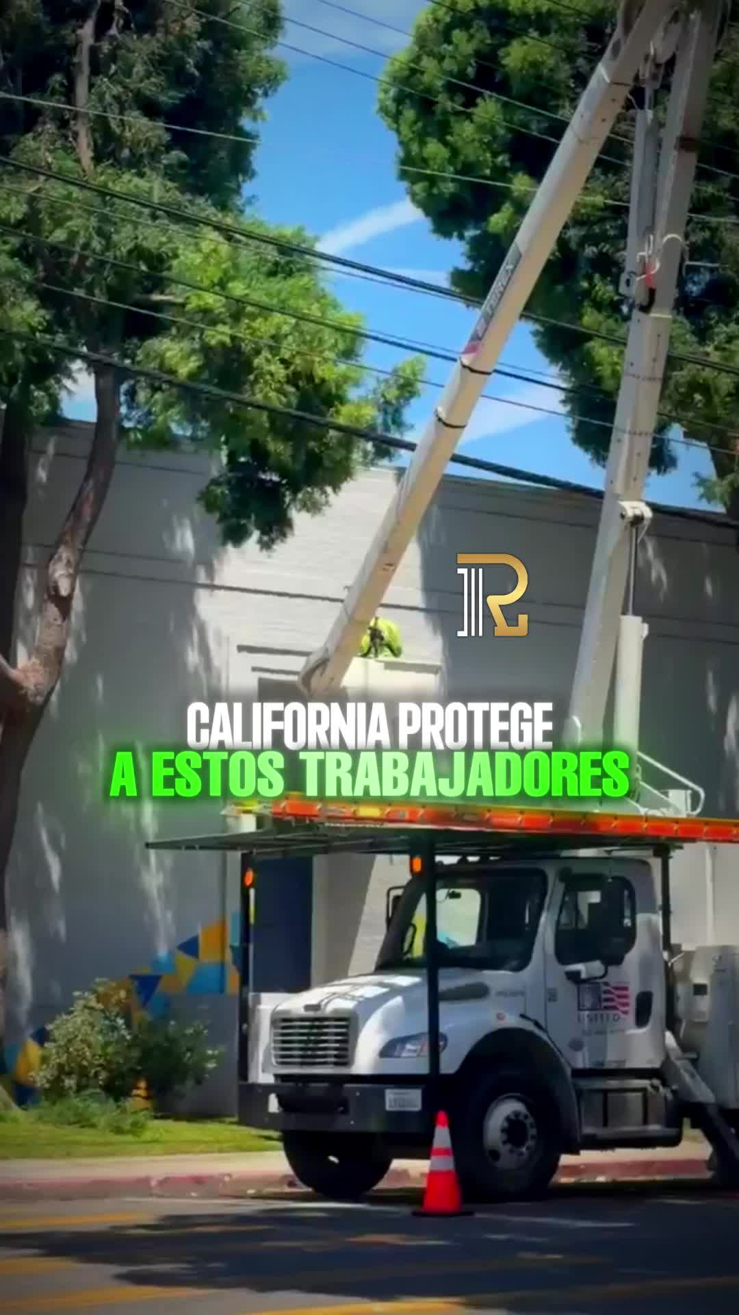 @rafaelyasociados