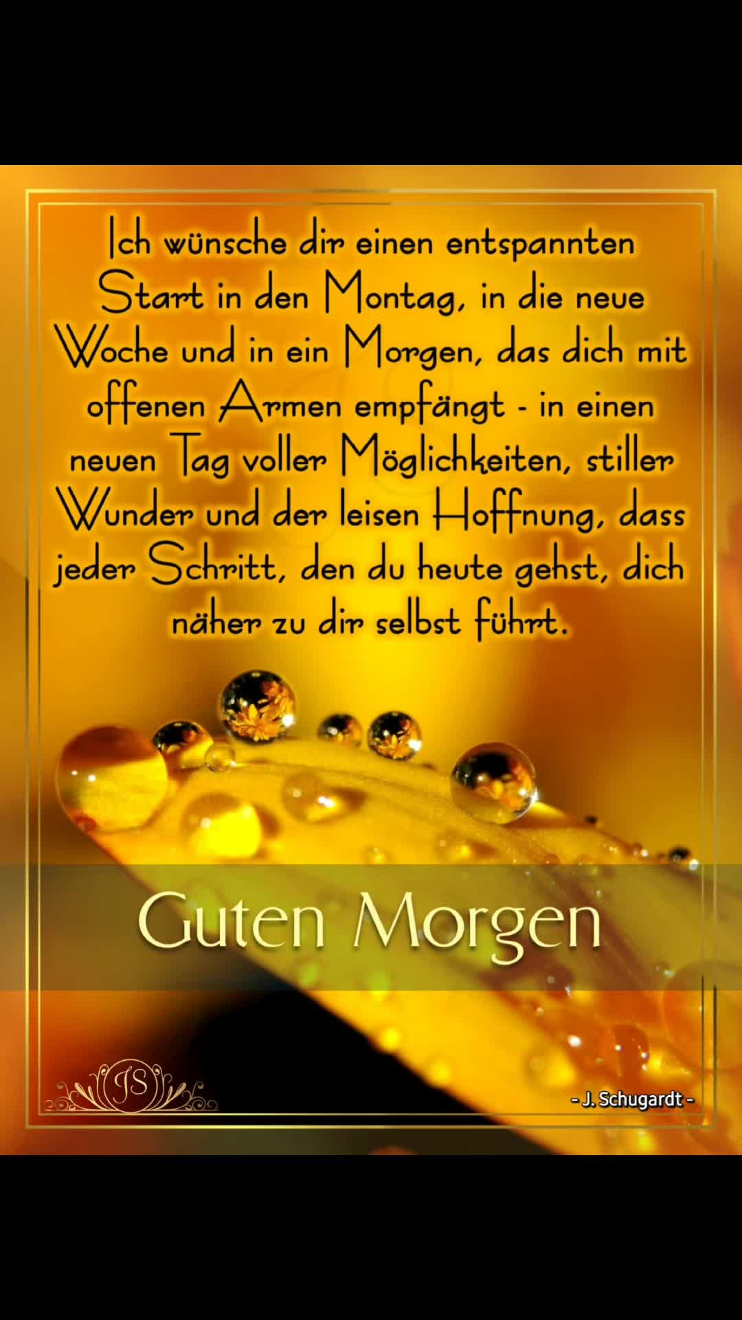 @stefangeilhausen3