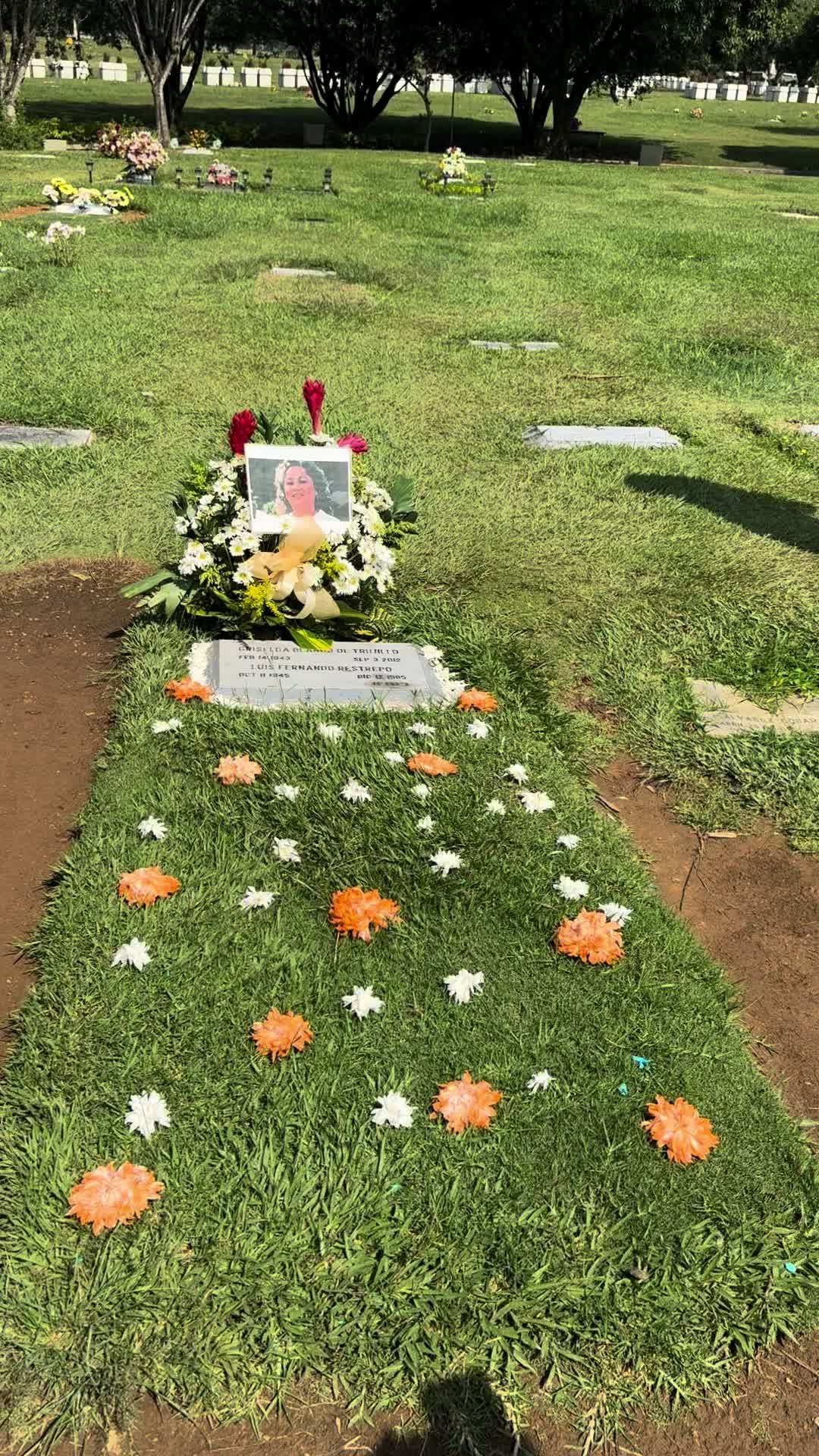 @berenice