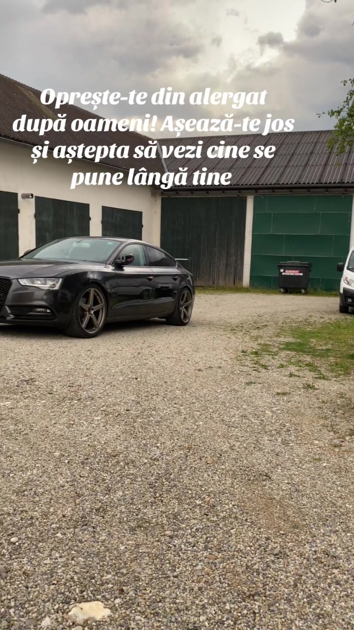 @Ilie Constantin