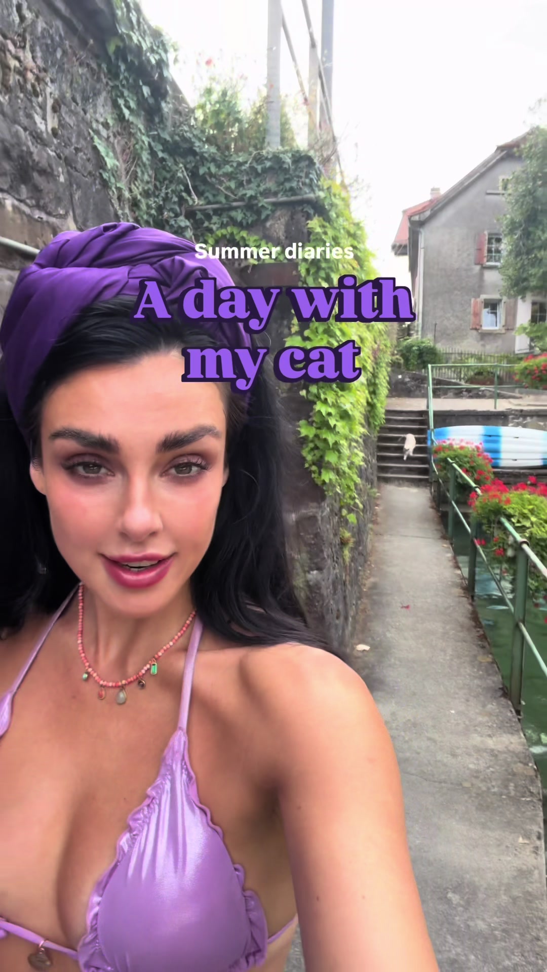 @Lavaux Cat