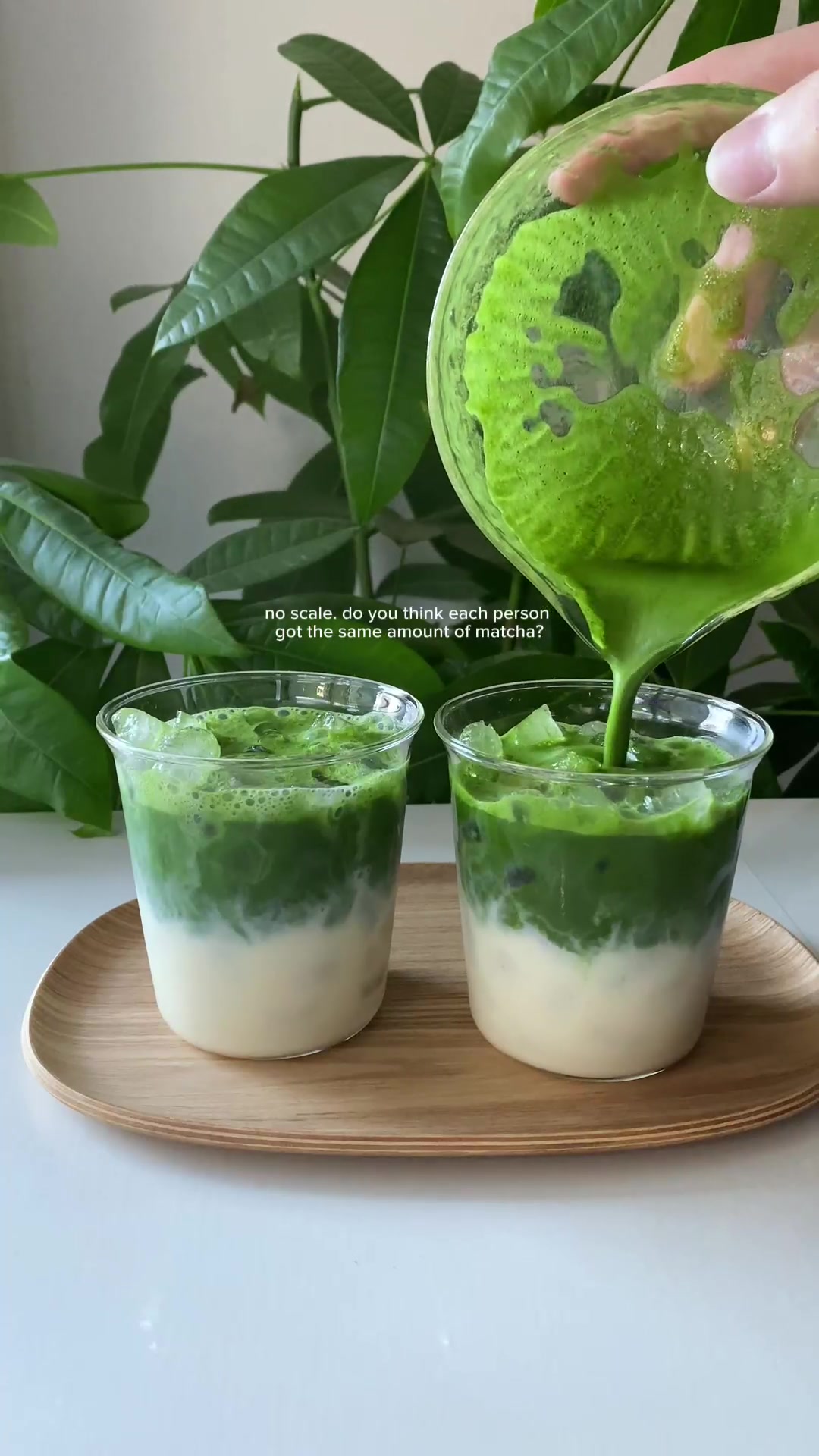 @Ujicha Matcha