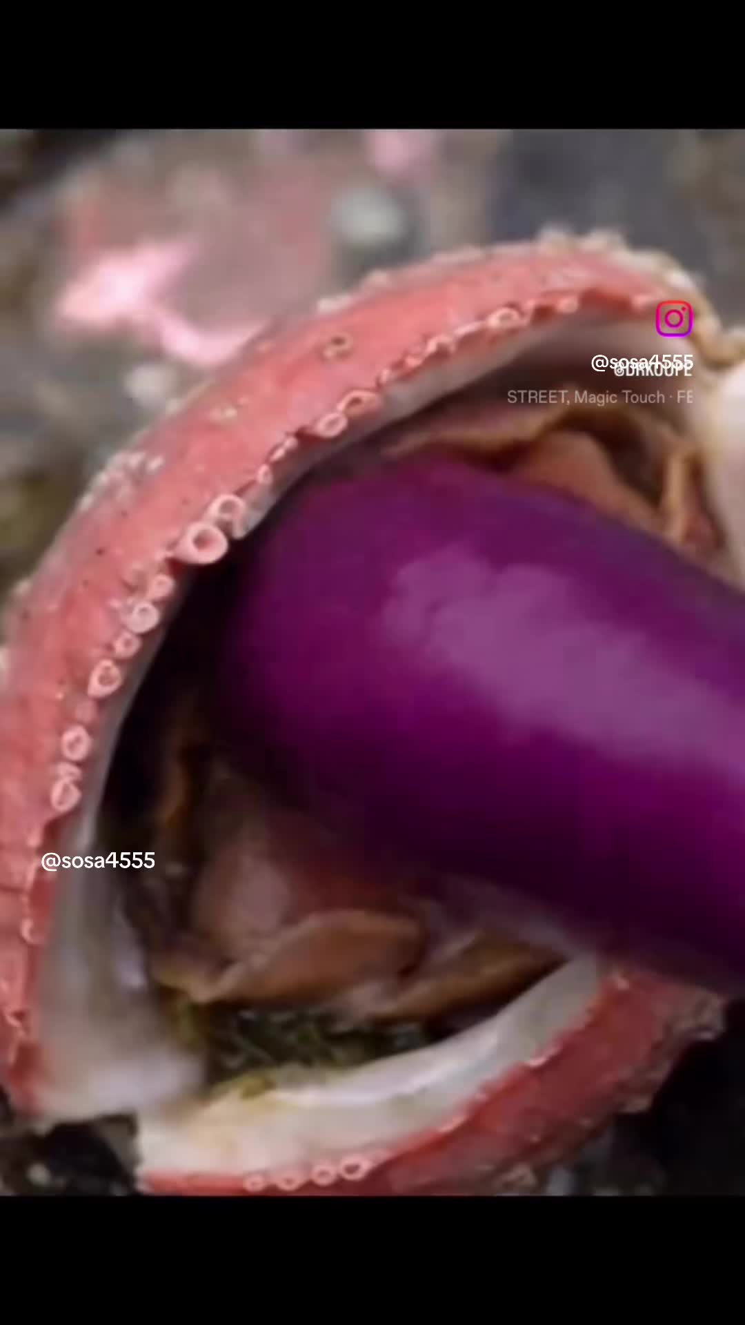 @Sosa4555