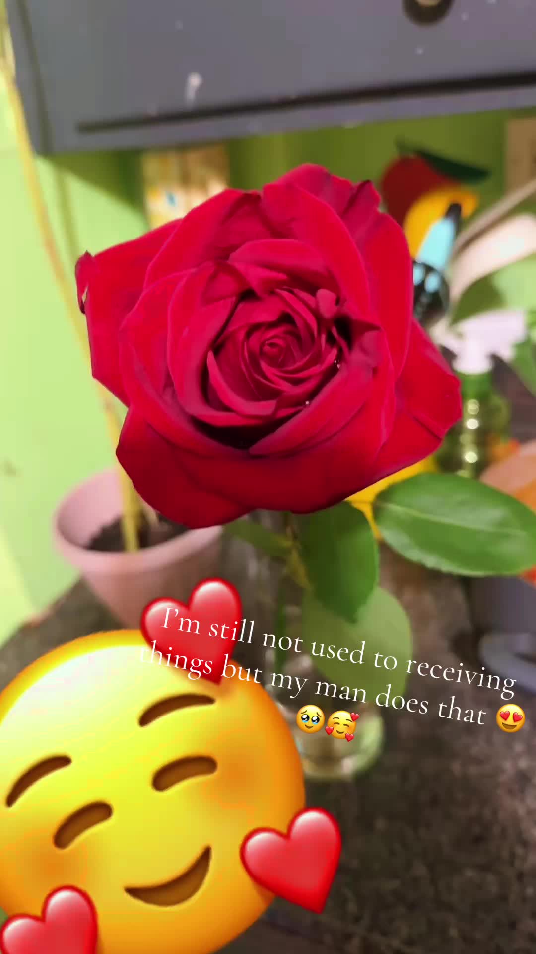 @Merilyn
