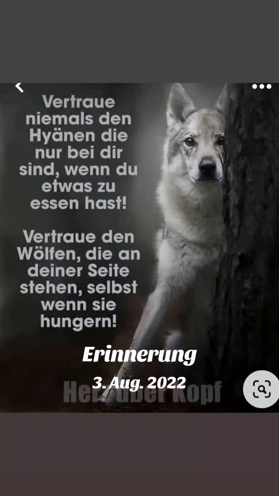 @largam1805