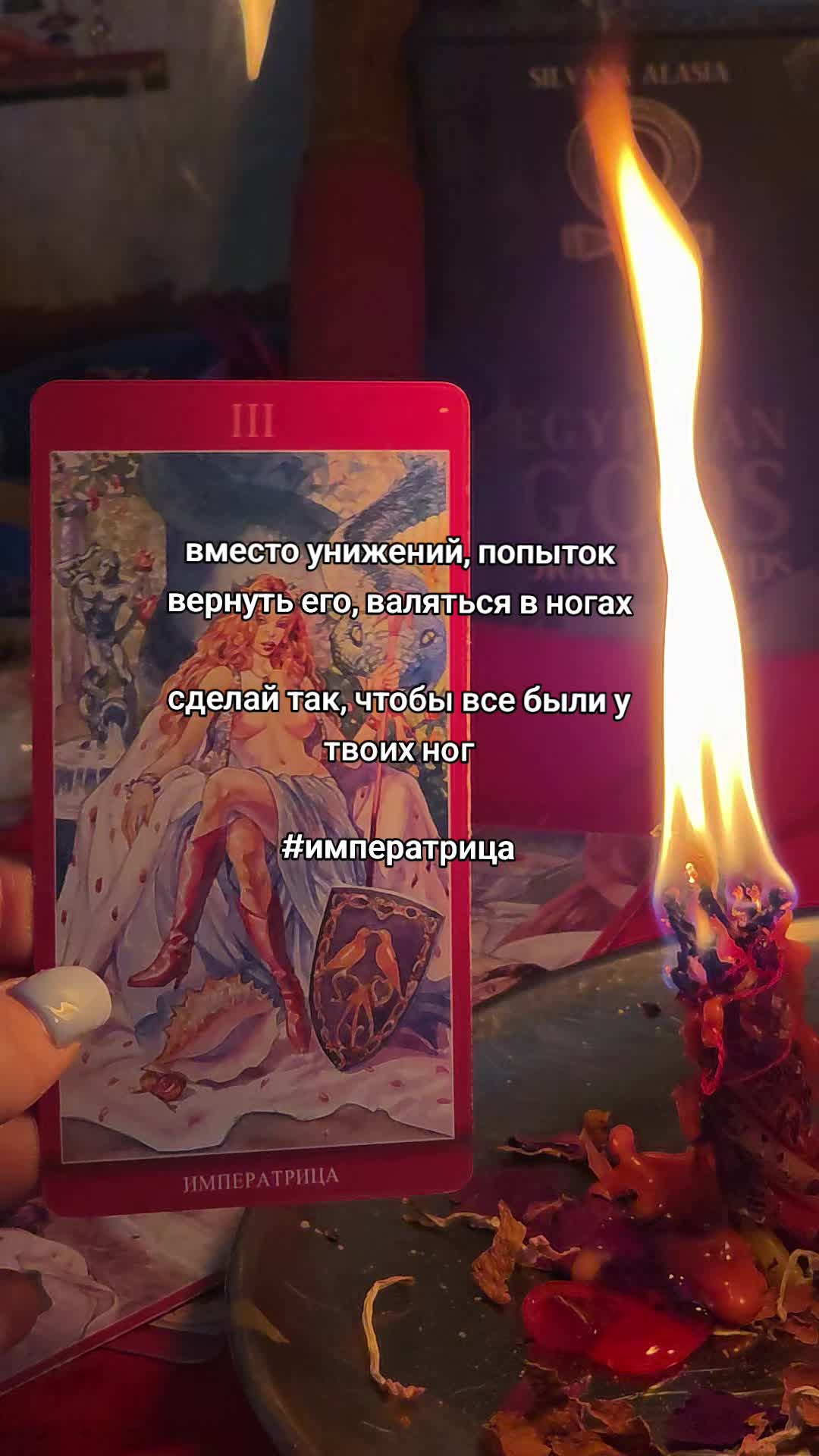 @aliceeback ~ магия жизни