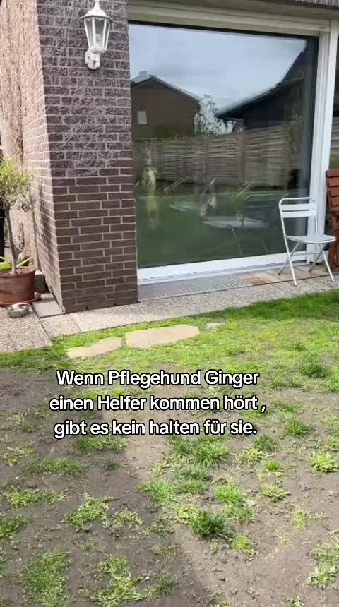 @DAS WUFF HAUS