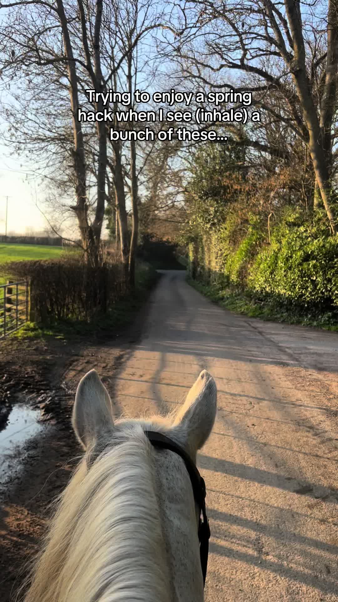 @Protexin Equine