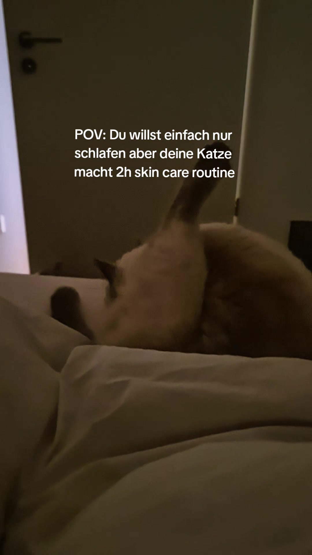 @Snoui