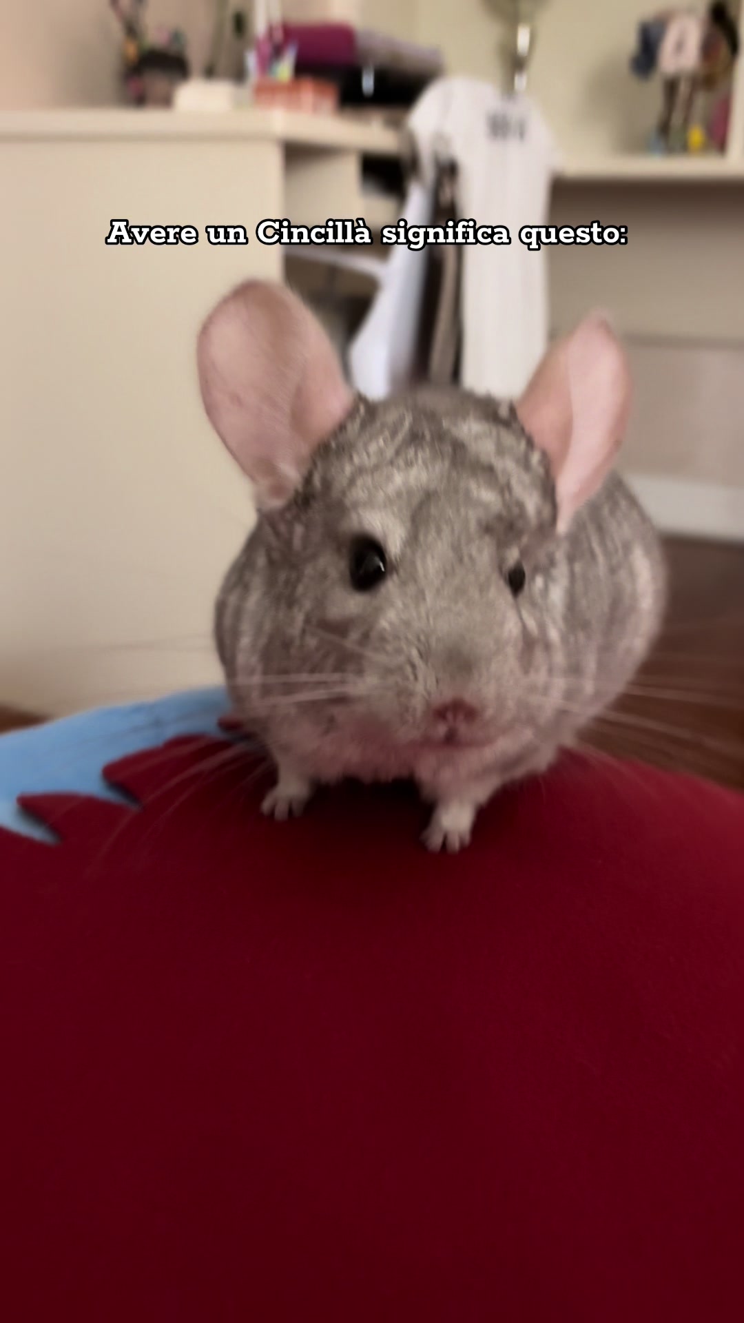 @AlbiTheCinci🐭