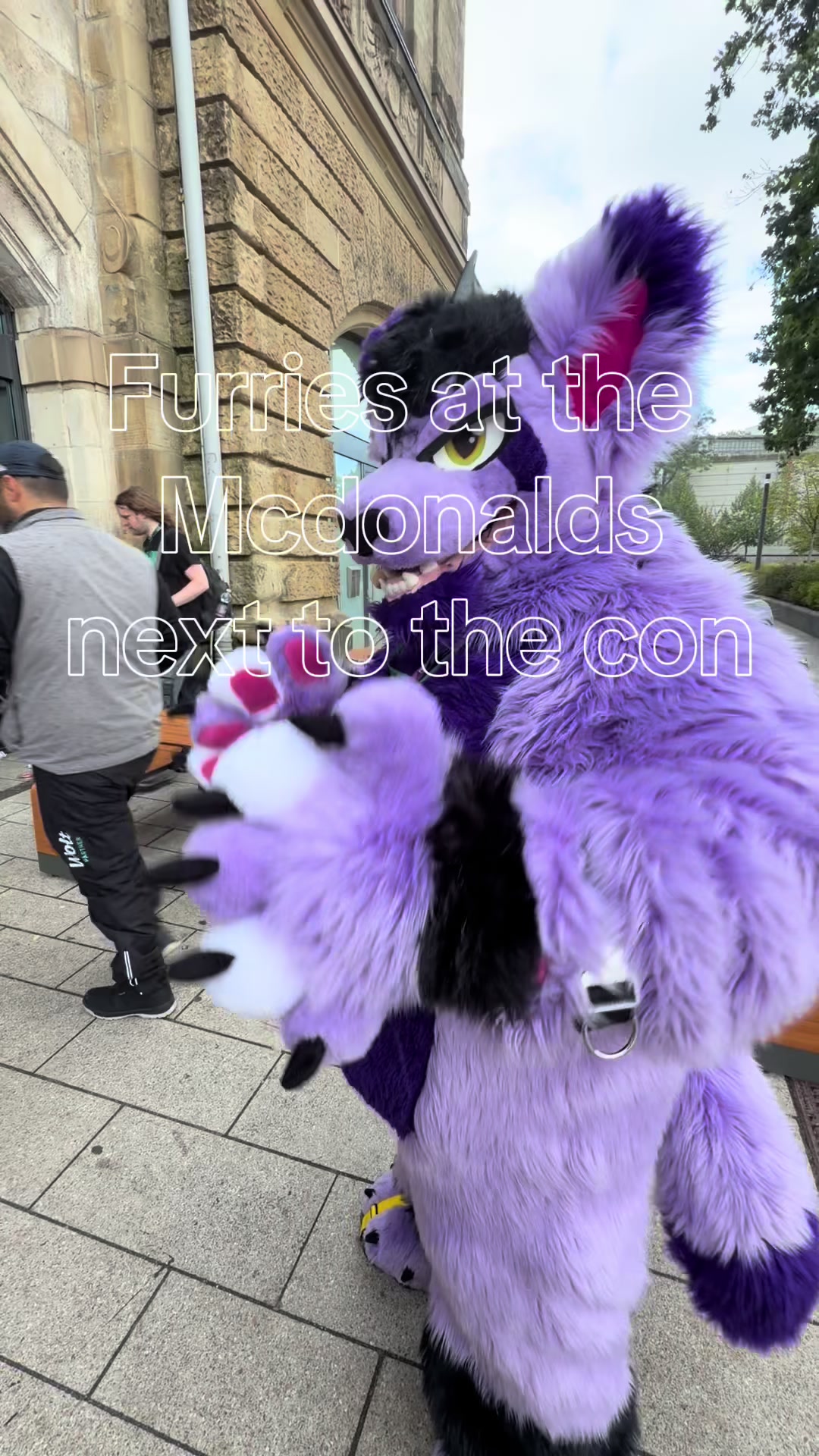 @Whootwolf