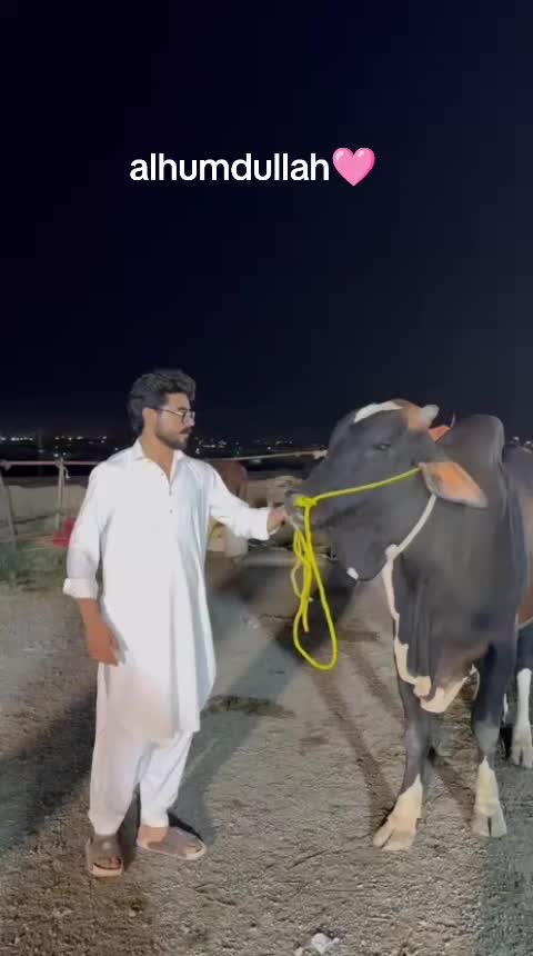 @SAFI 🥷🔥⚔️