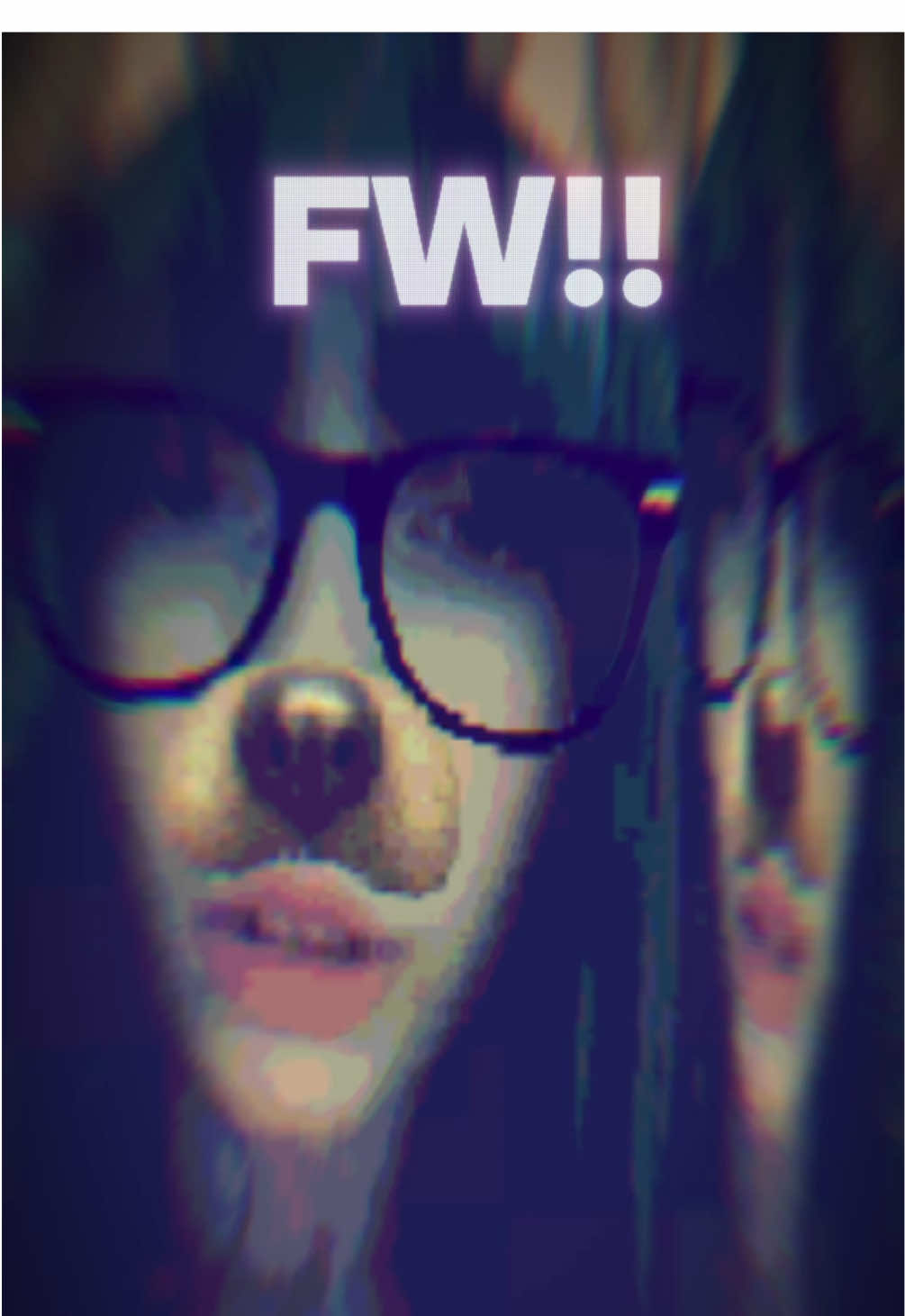 @꒰ঌ вєє ໒꒱