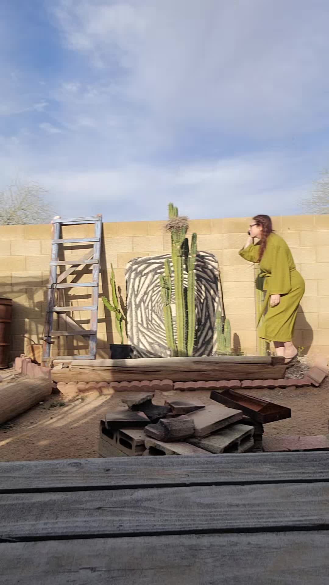 @cactifam