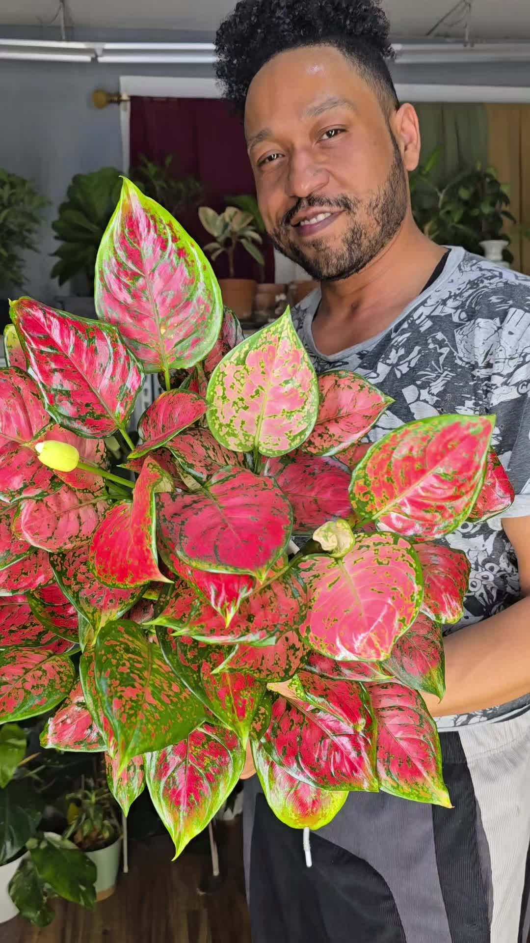 @JT - BigEGOPlants