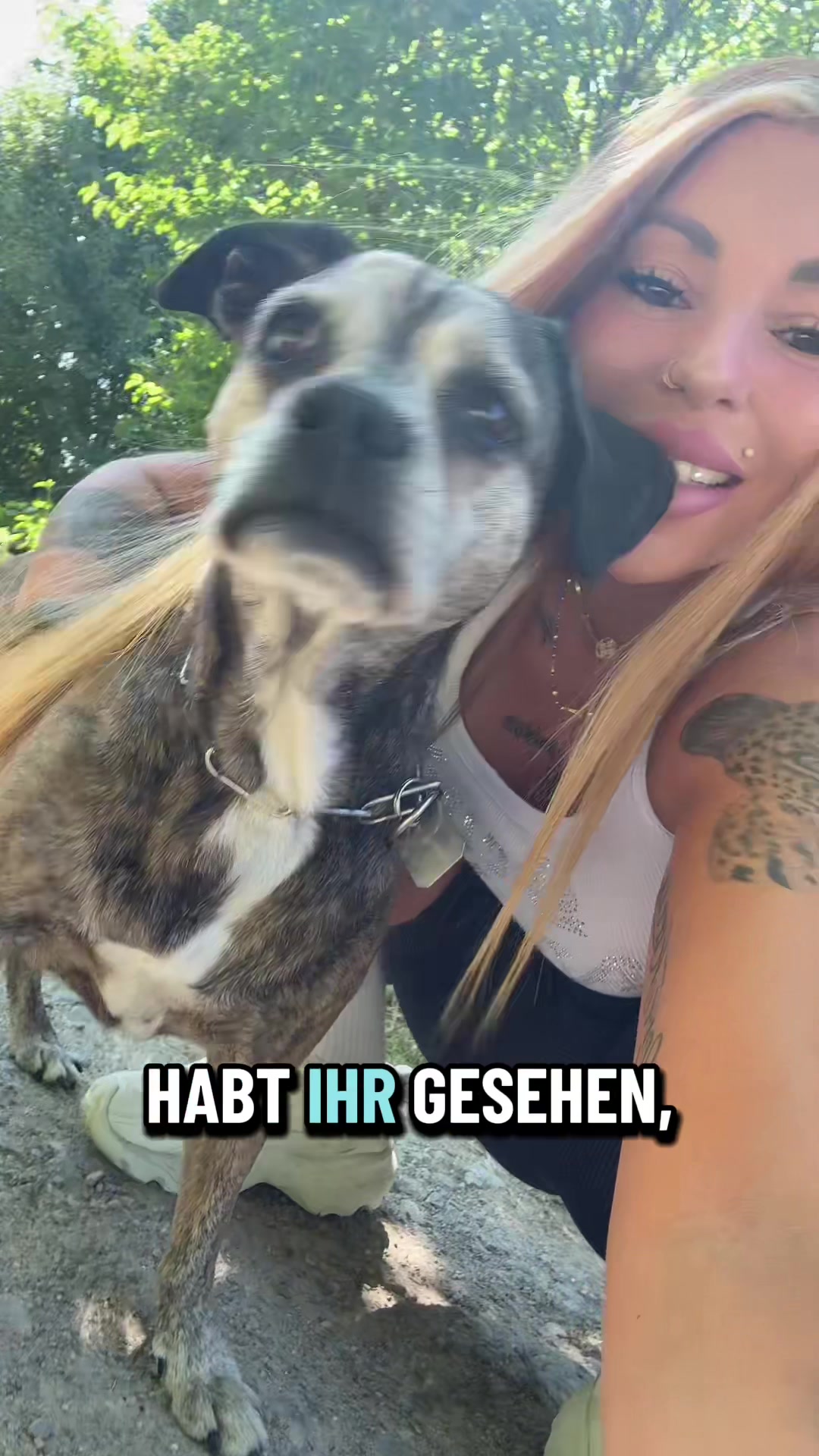 @Jasii