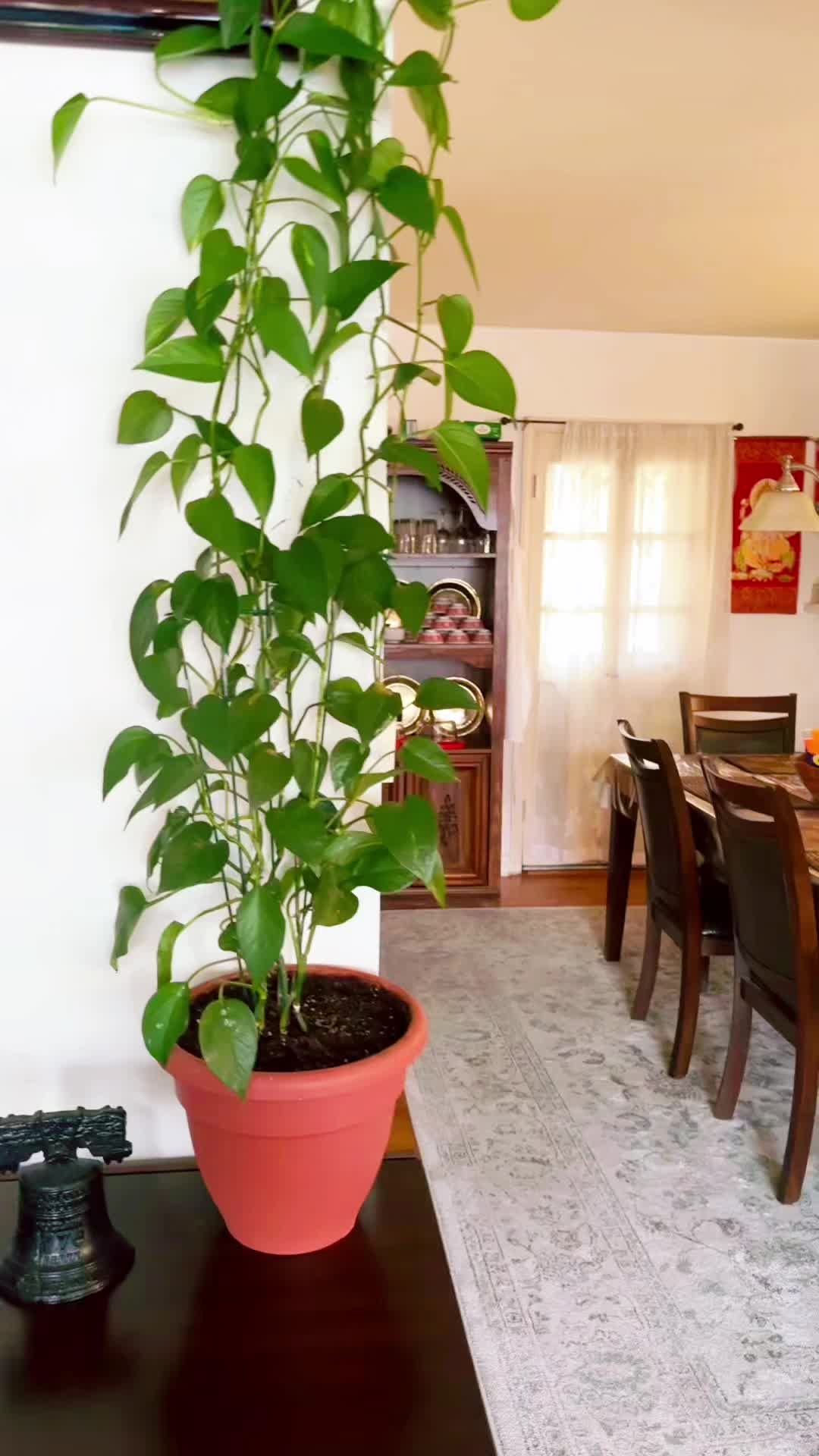 @Sarita Kumari Paudel