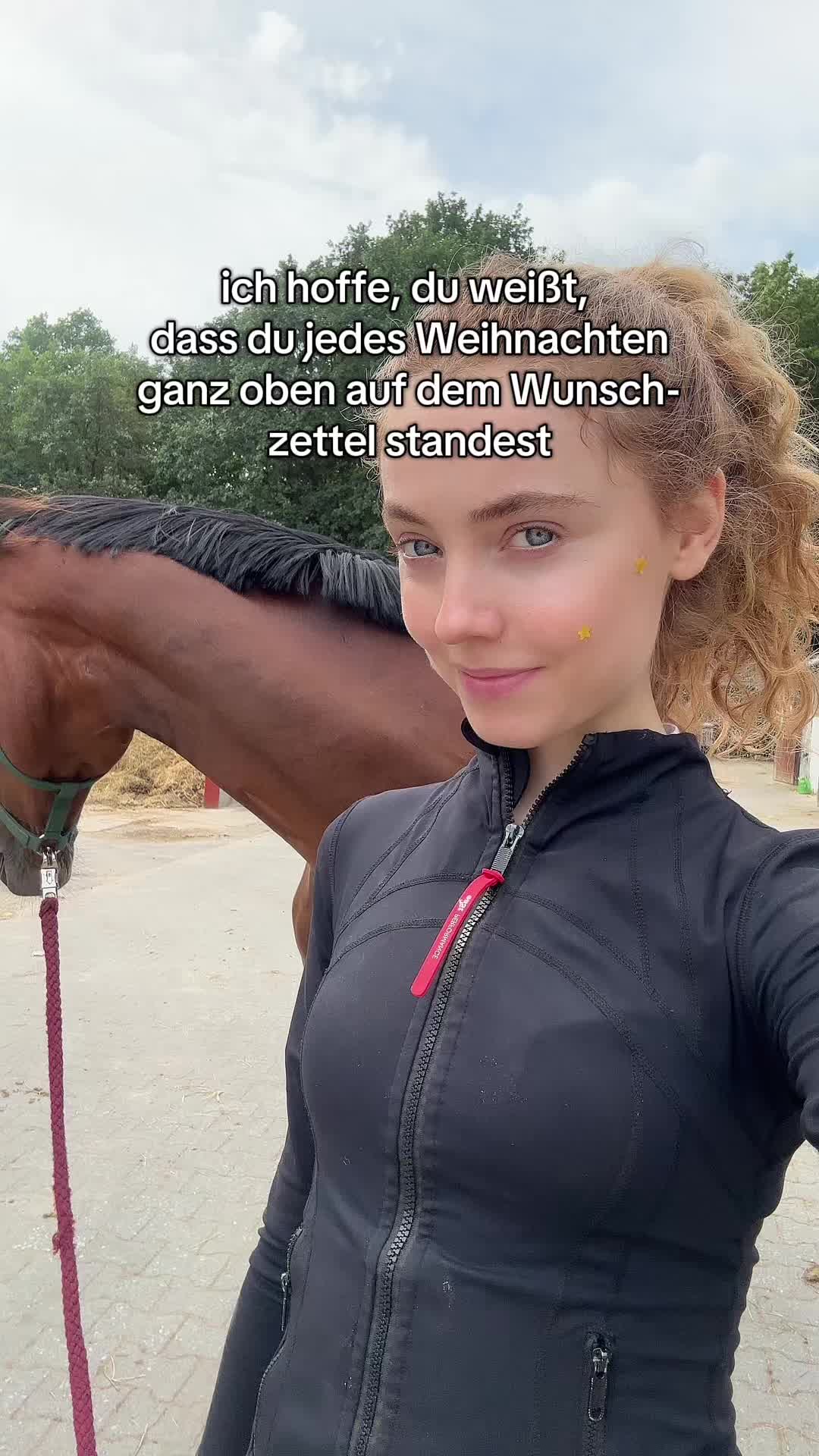 @evis.pferdechaos