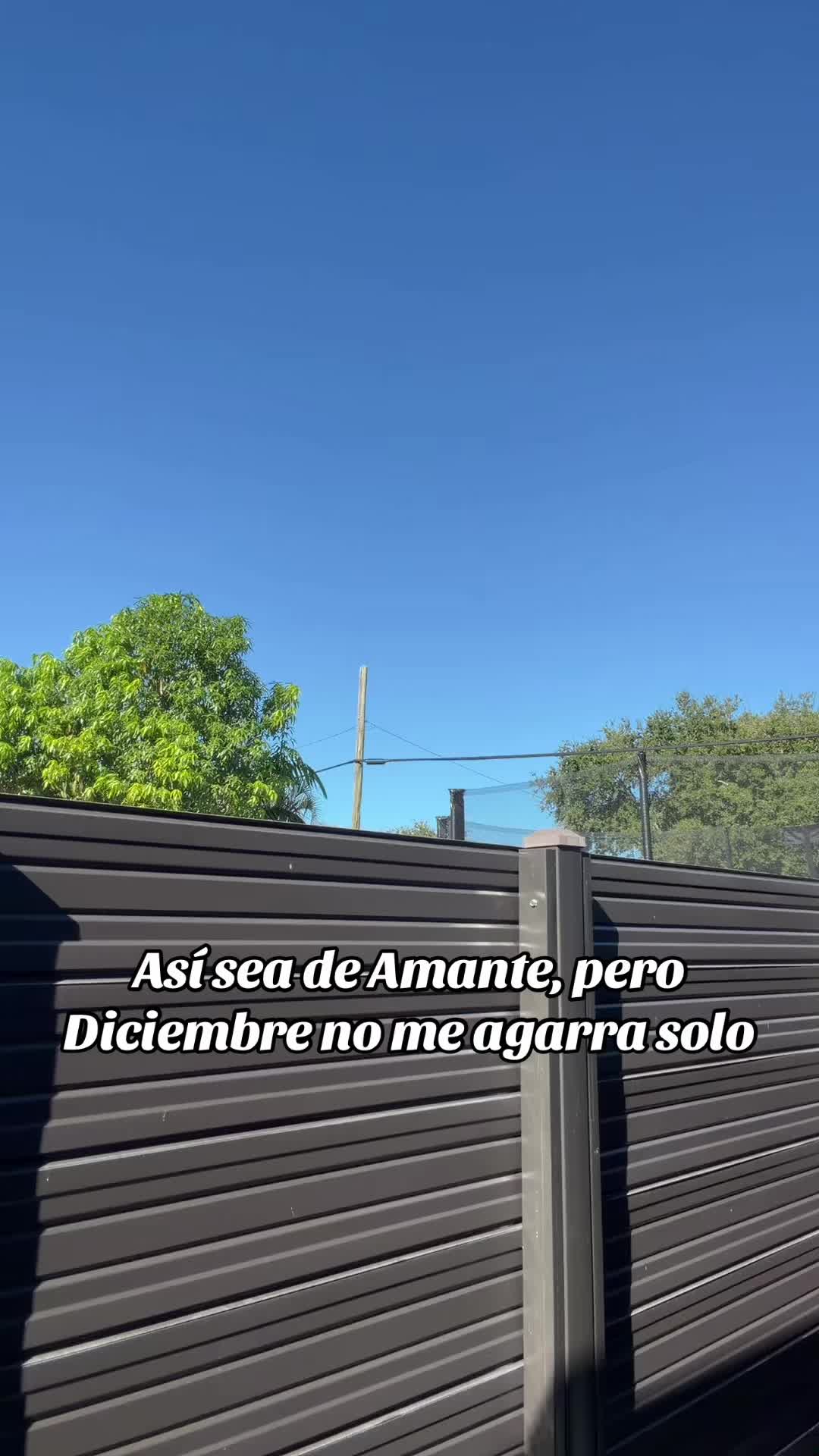 @Carlos Gómez🤟🏻