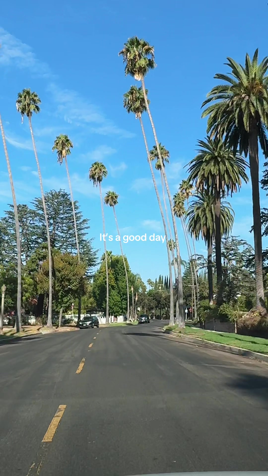 @Erfan | Epic America