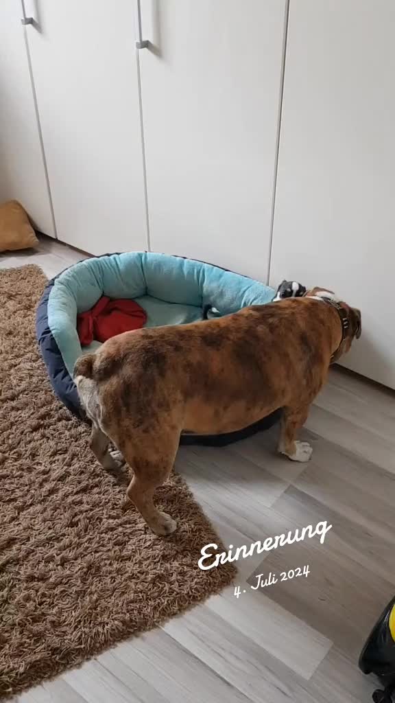 @cori.friedy.toni