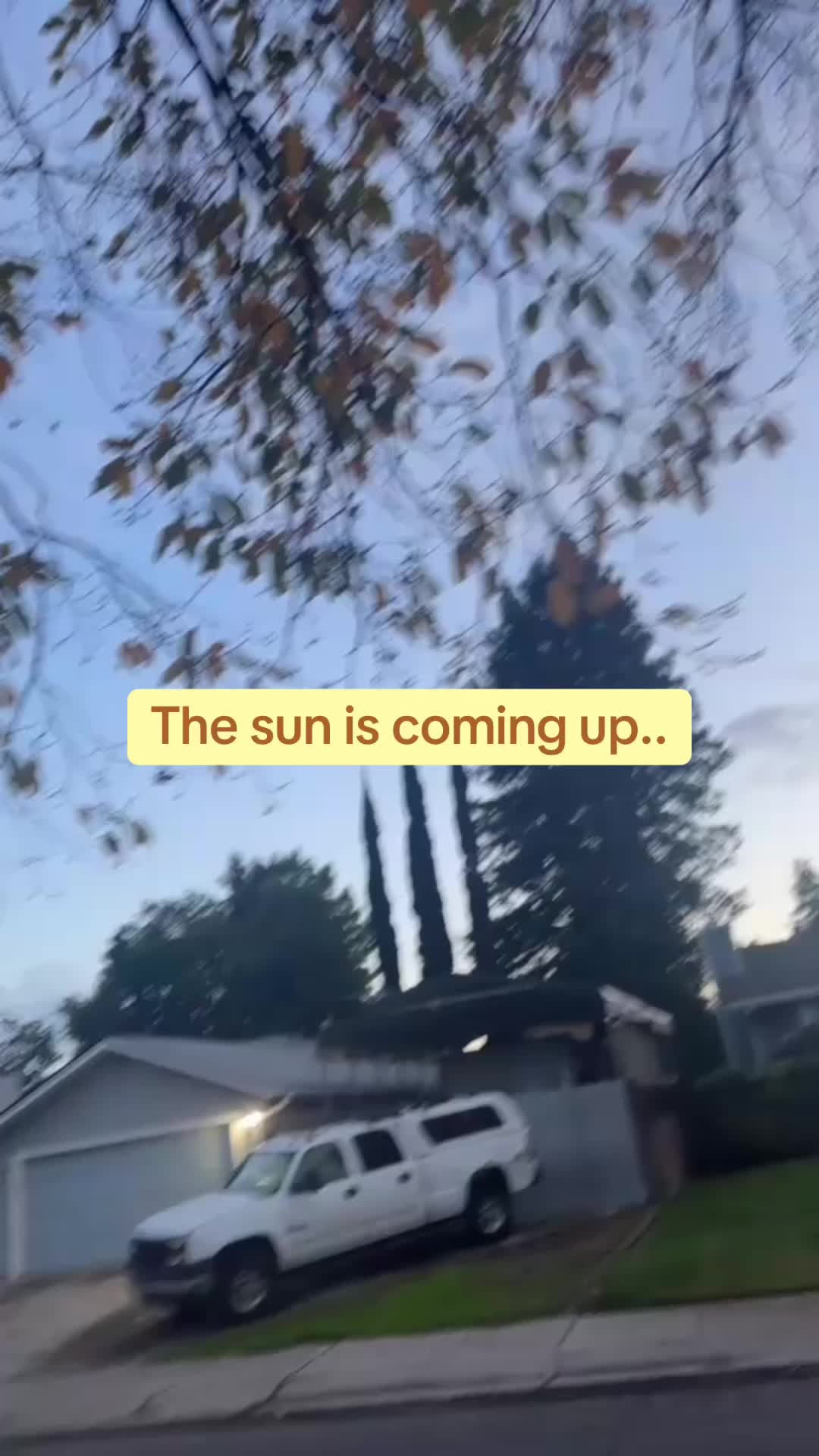 @stuck.in.a.fake.reality