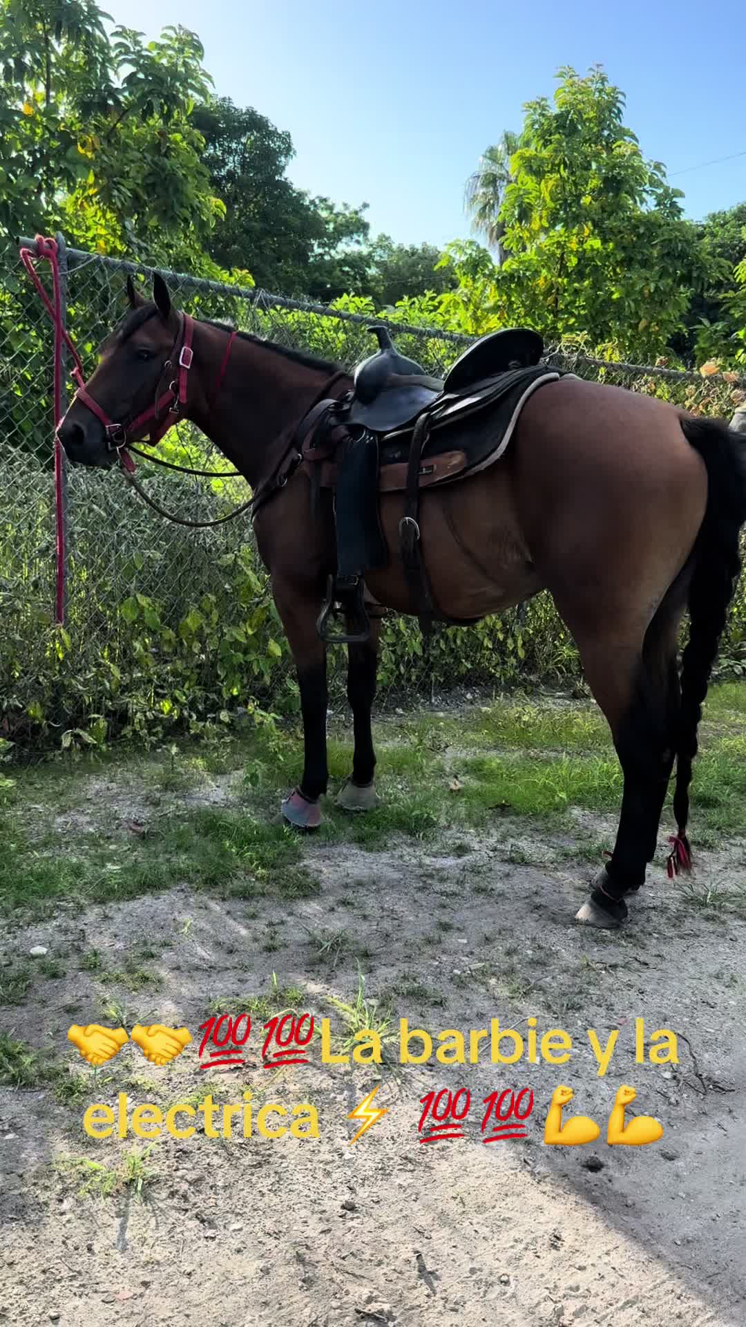 @🔥🔥❤️EL FEO ❤️🔥🔥