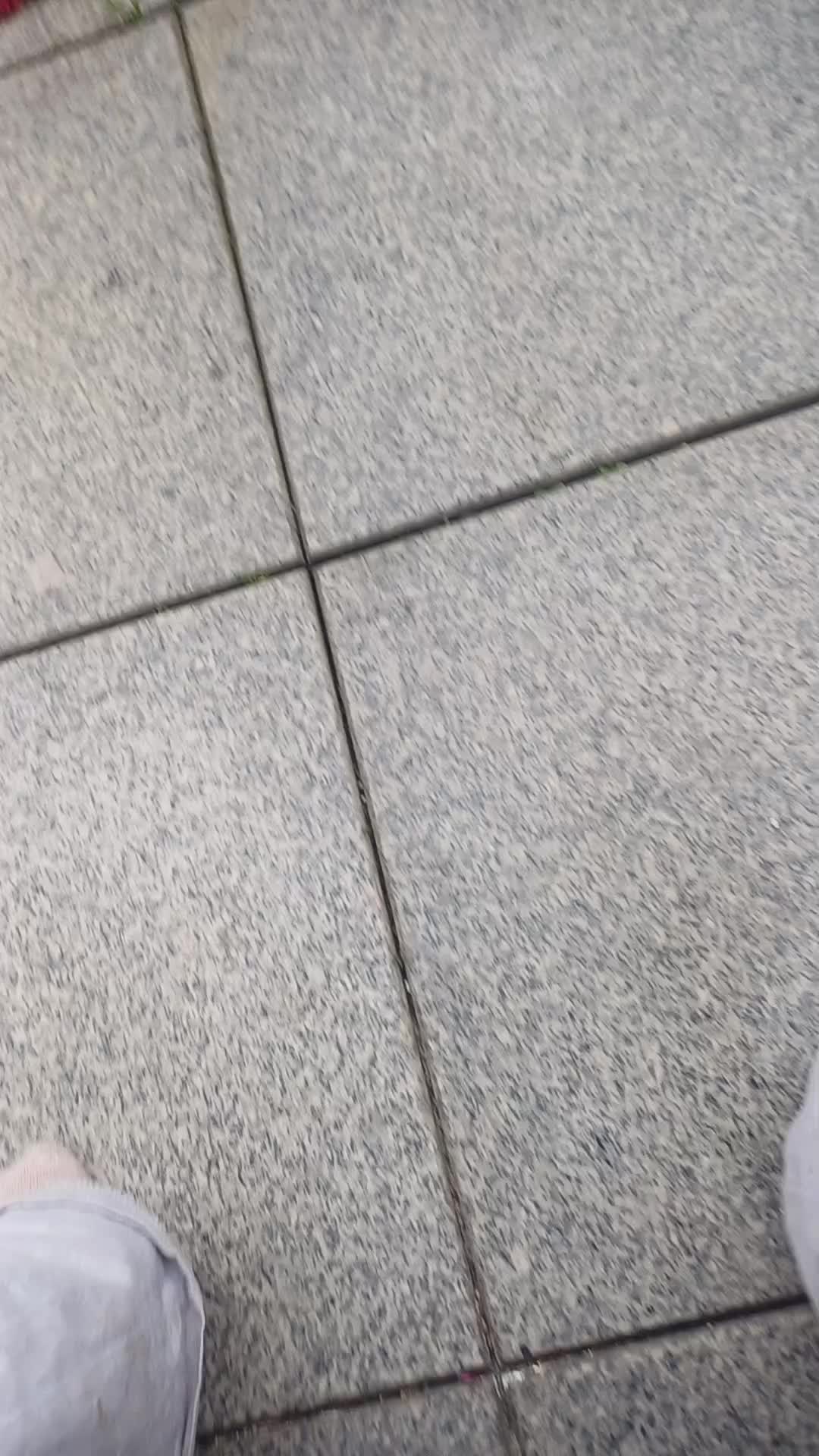 @Sara Catalina