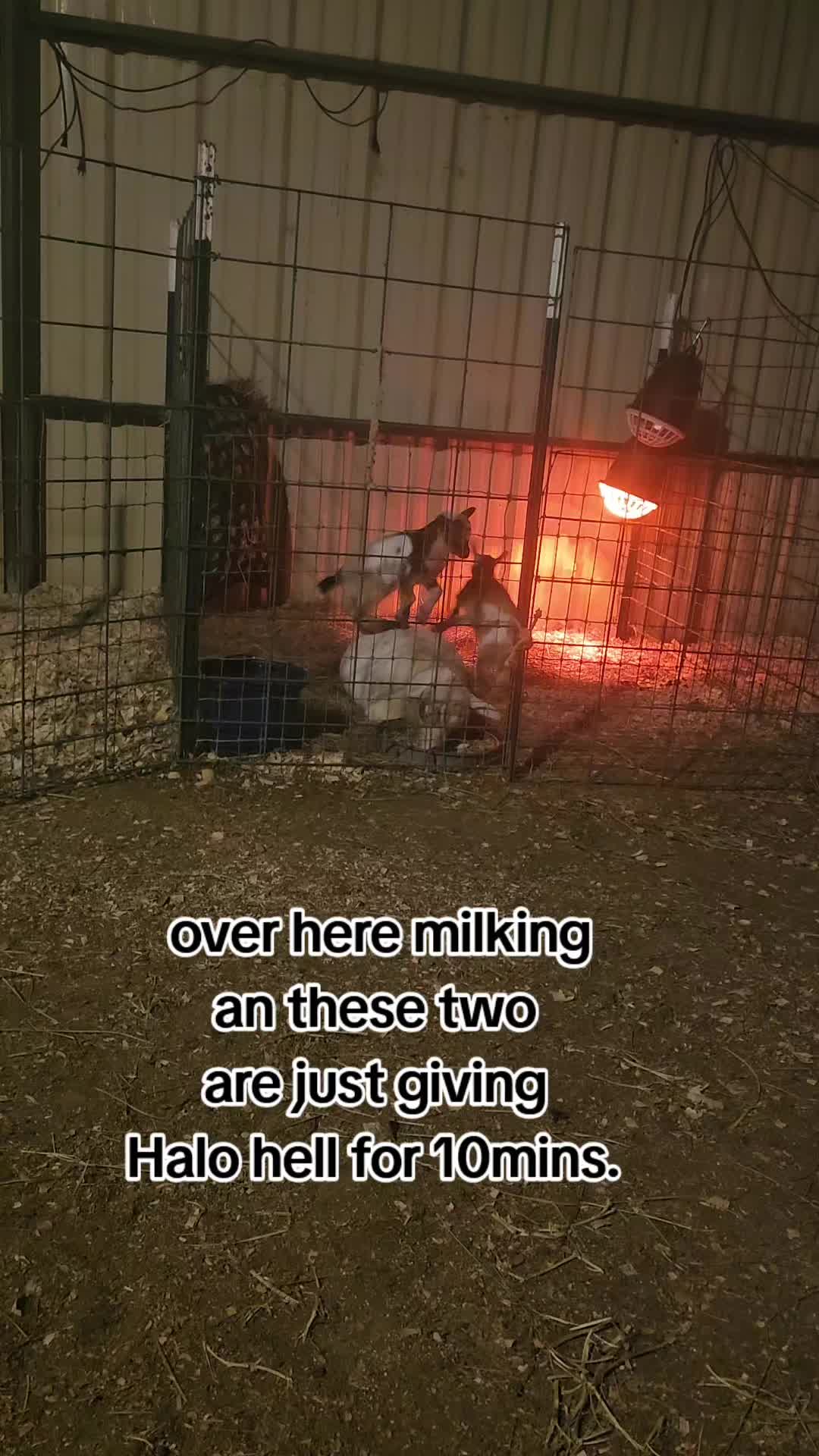 @Viking Cowboy