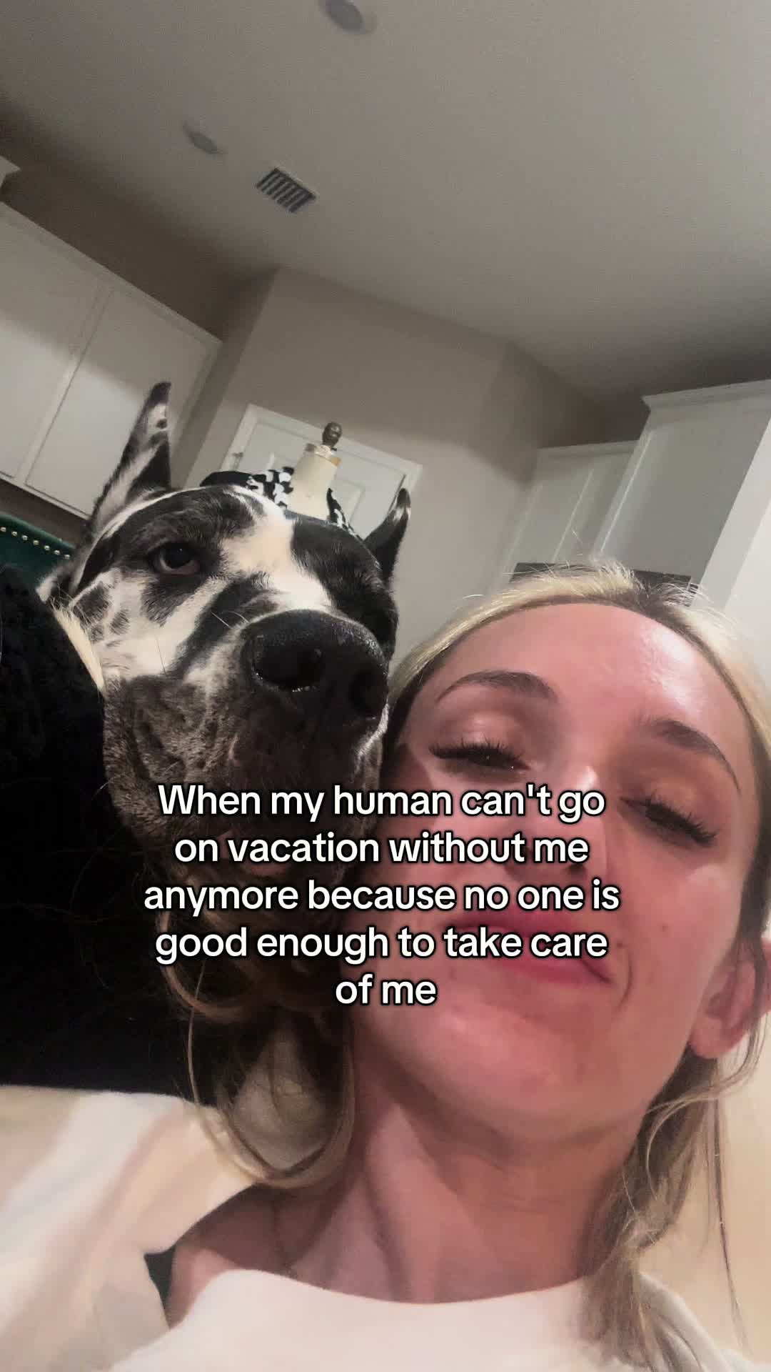 @Greyson the Great Dane