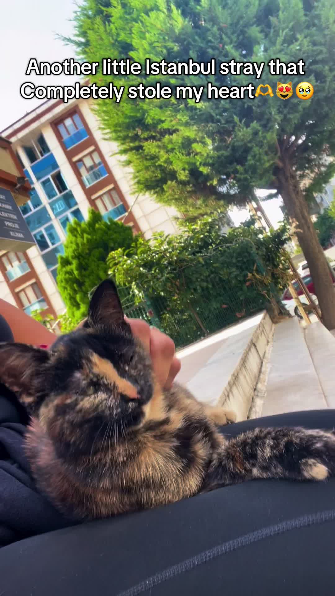 @LucyLu🏴💜🥾