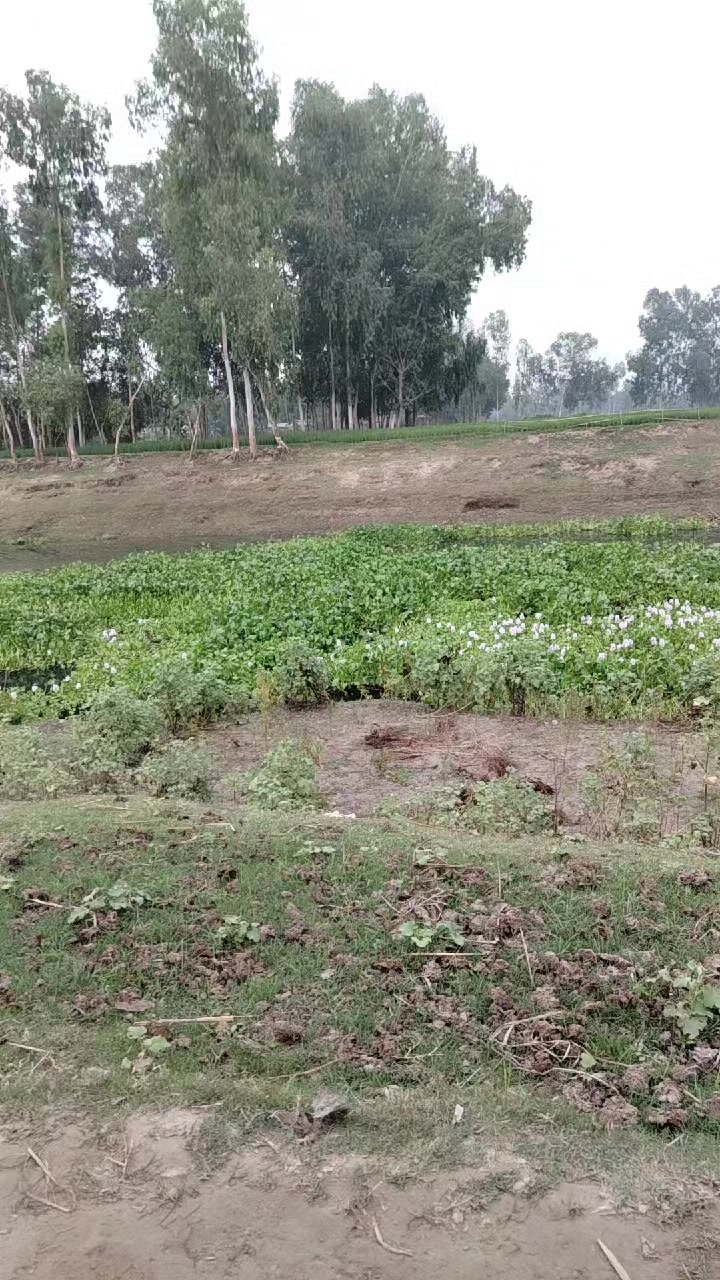 @শুধু তোমার জন্য পাগল