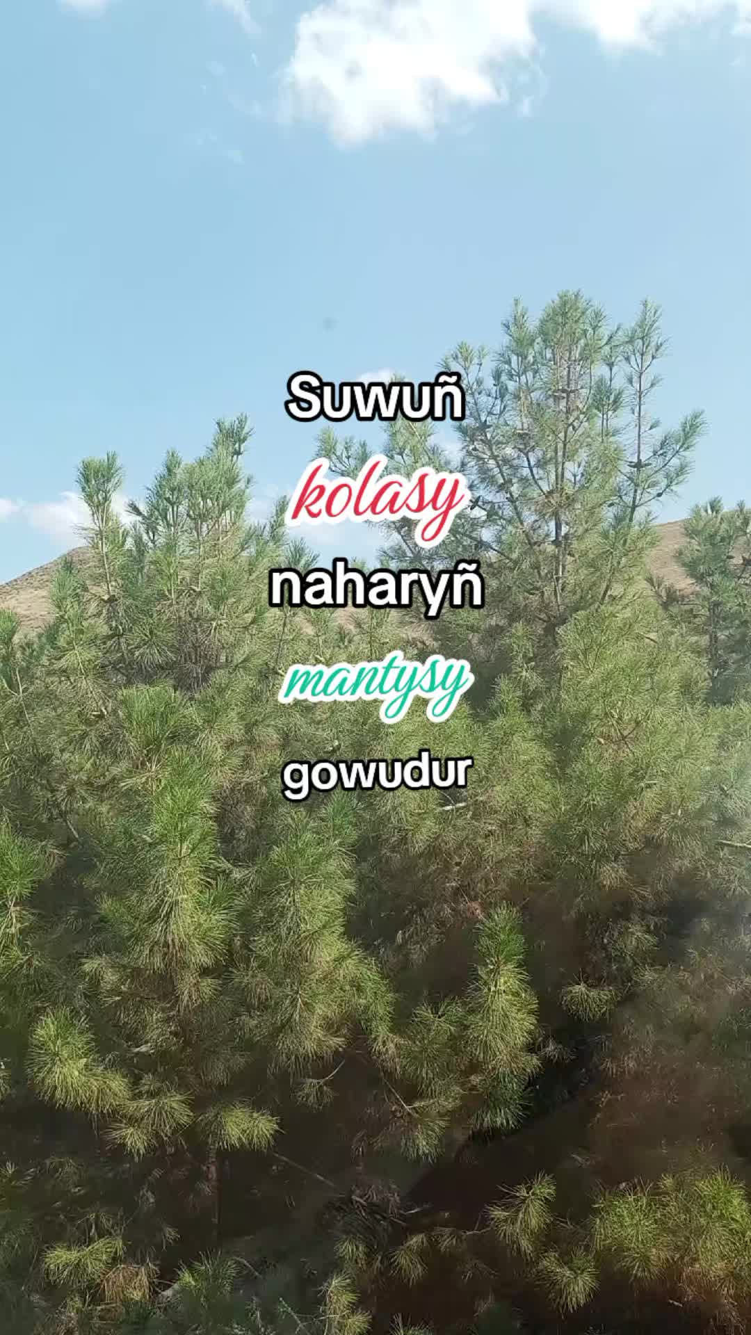 @Yazzyş_⁷⁷⁷