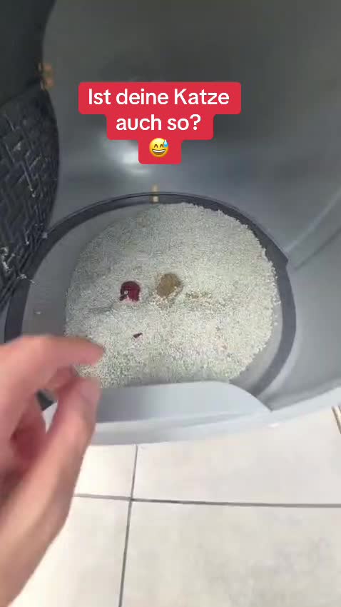 @Braunici
