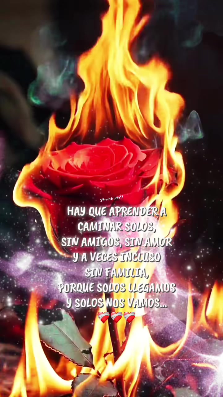@🌙✨🦋Brillo de luna🦋🌙💫