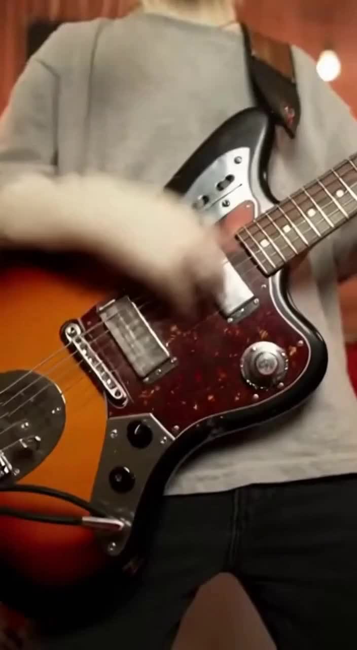 @Nirvana Cats
