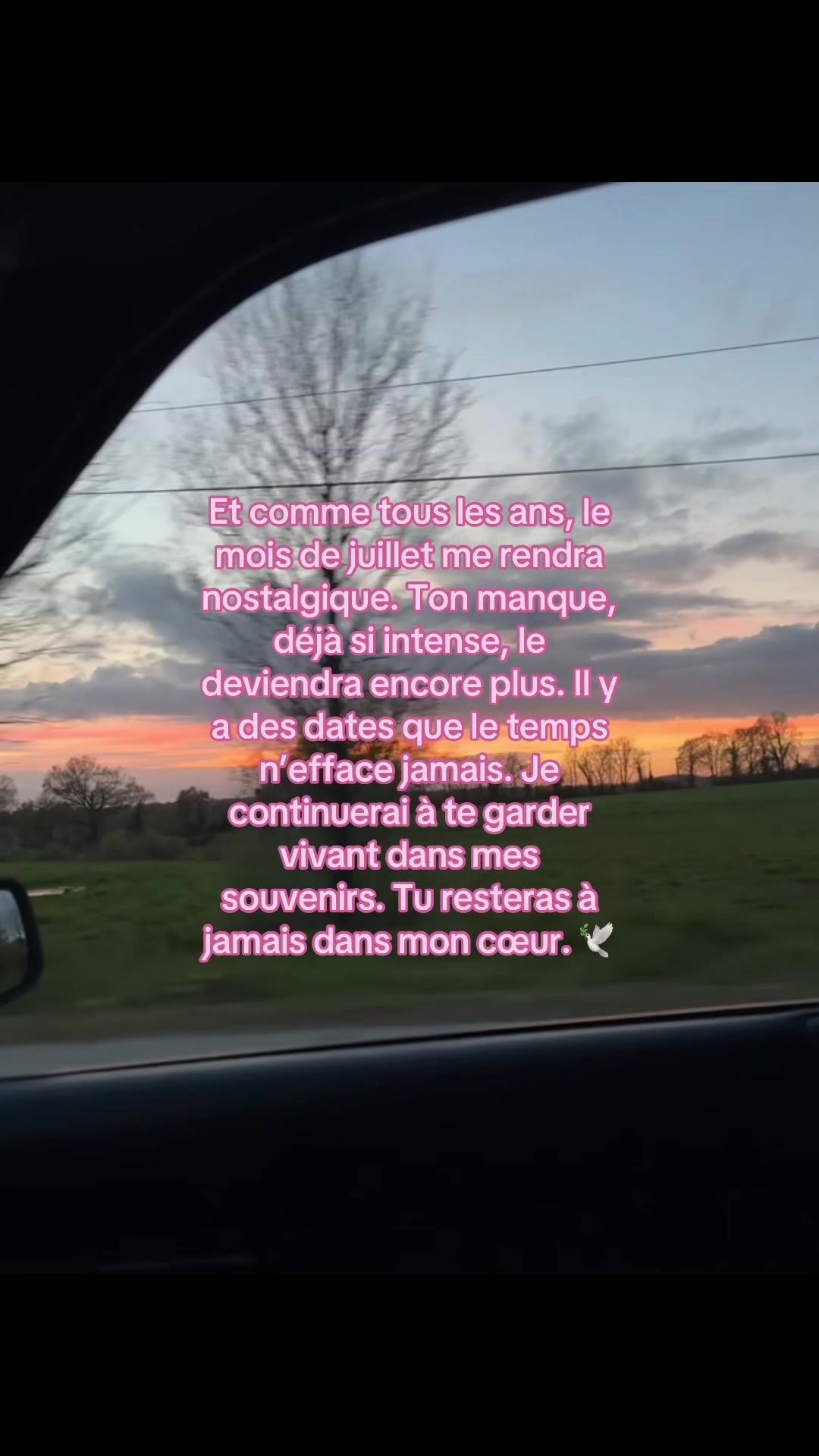 @ocn_m7