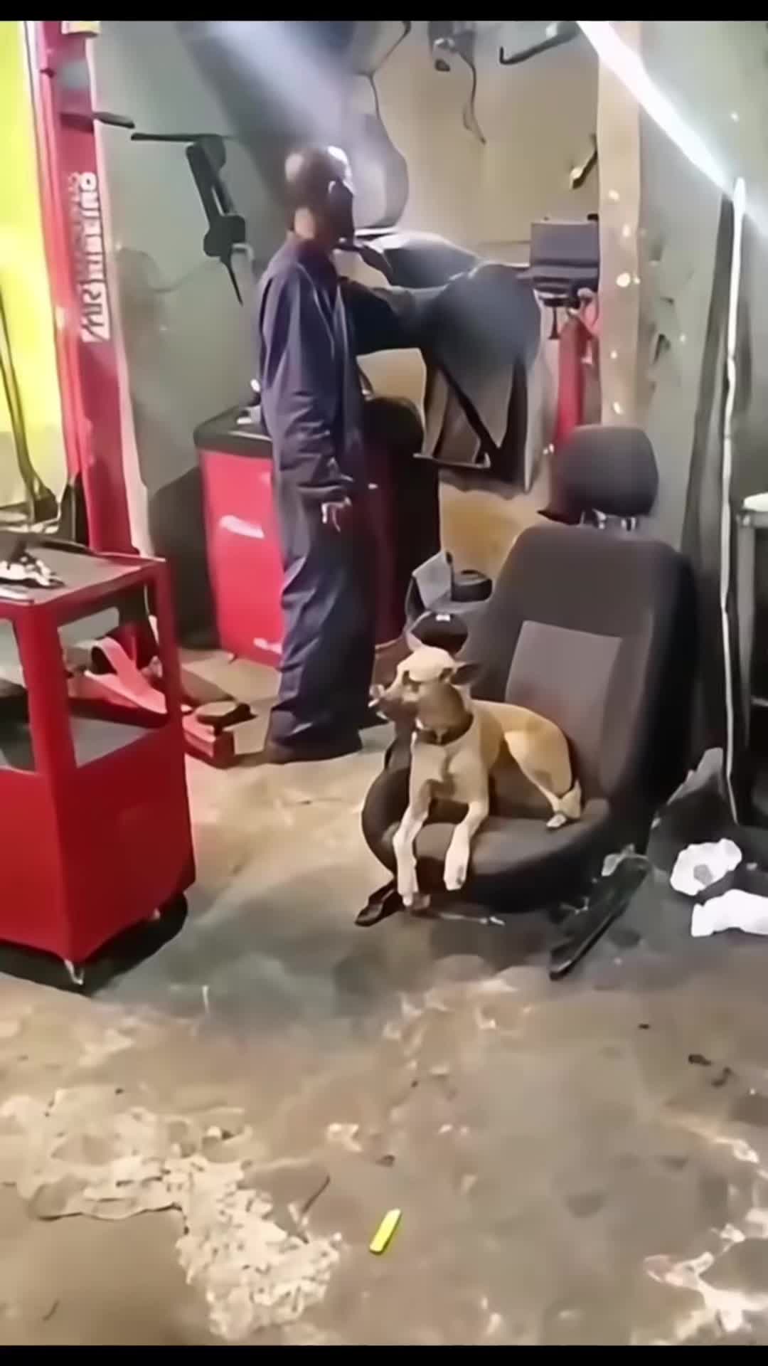 @cuteanimals472