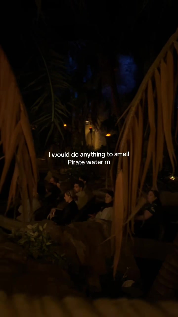 @Seren does Disney