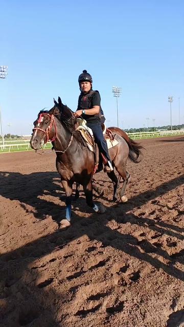 @morfeo 🐦⬛🏇🌾
