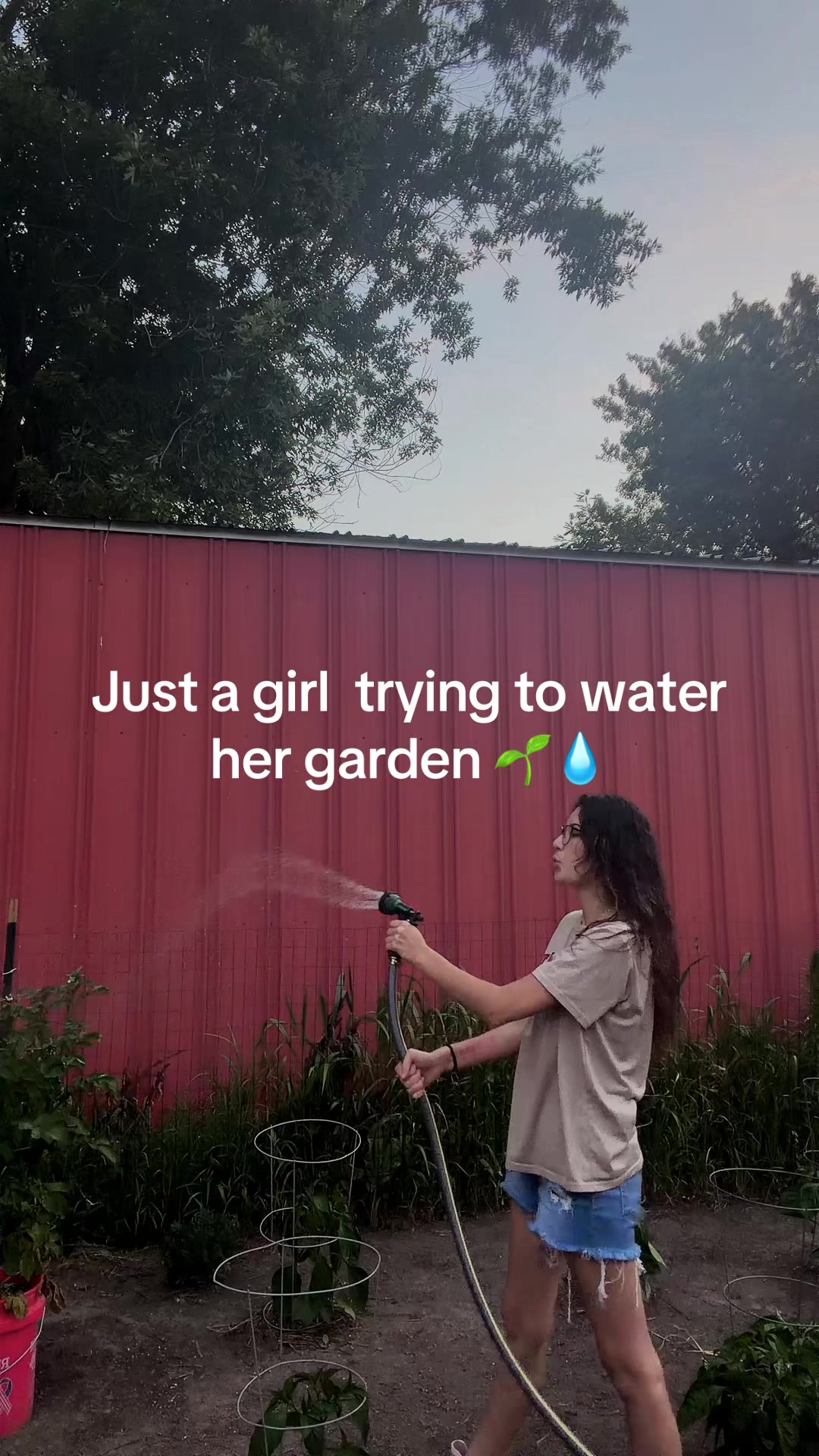 @Cynthia