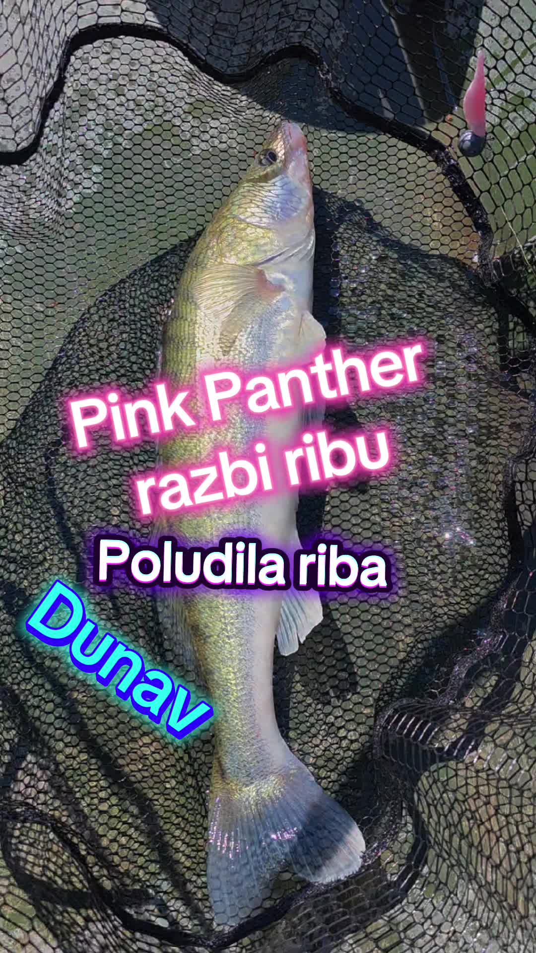 @Fishing.by.balkanac