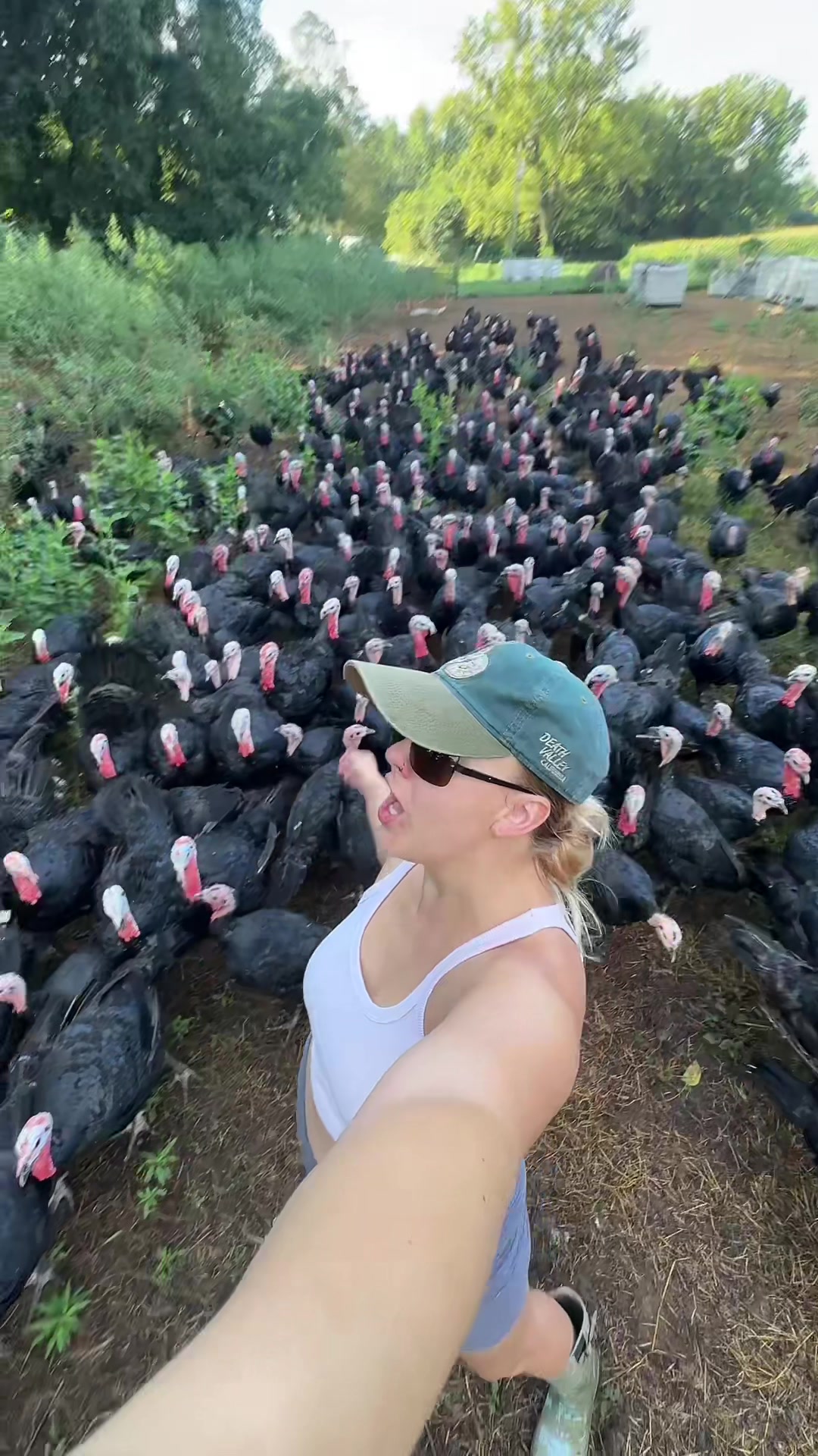 @farmerandtheharpiist