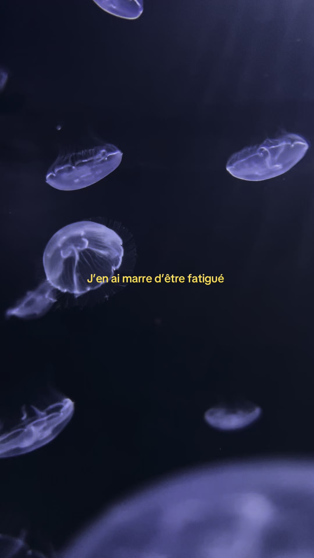 @Z.🎧